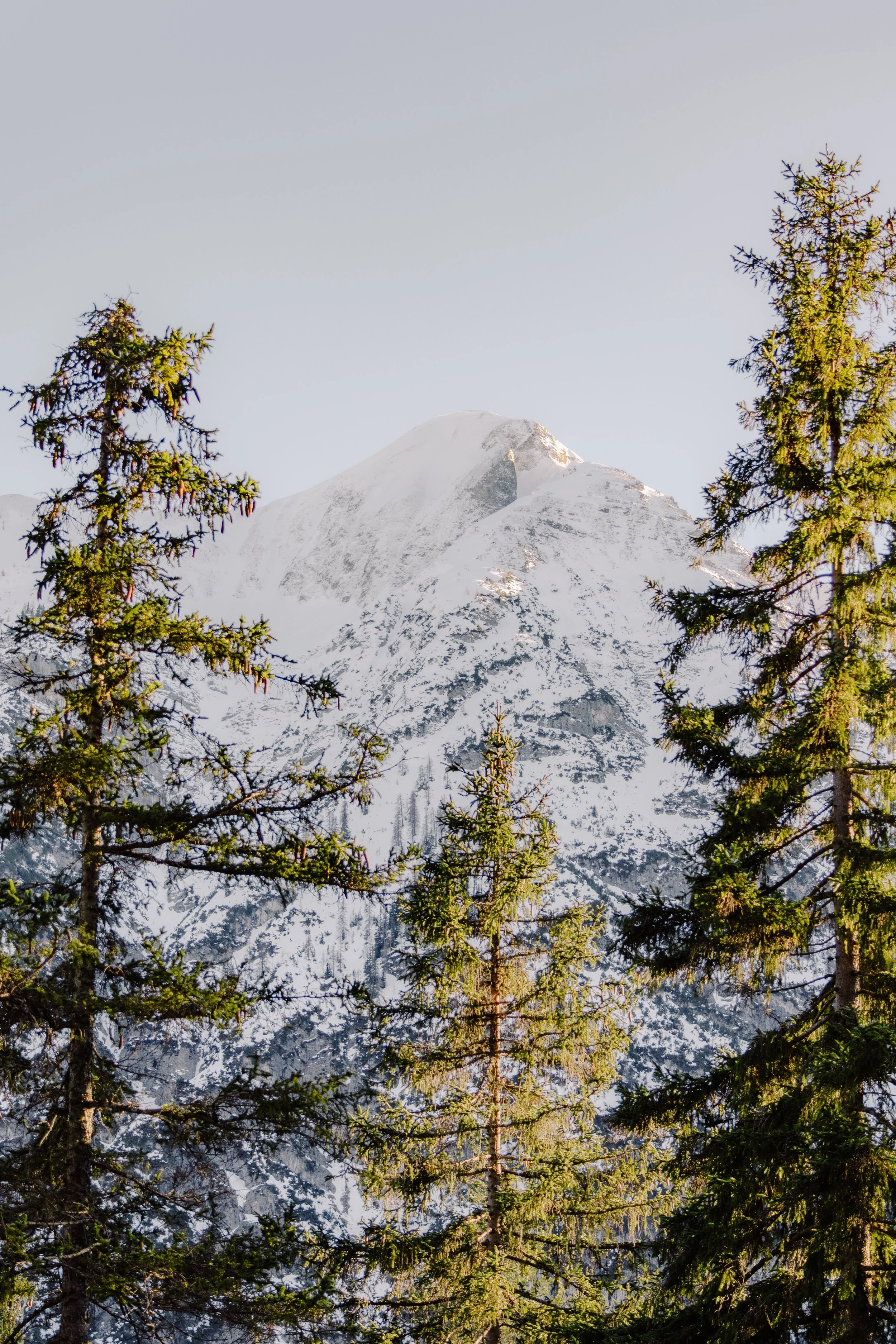 Brook Aurora Travel-19.jpg