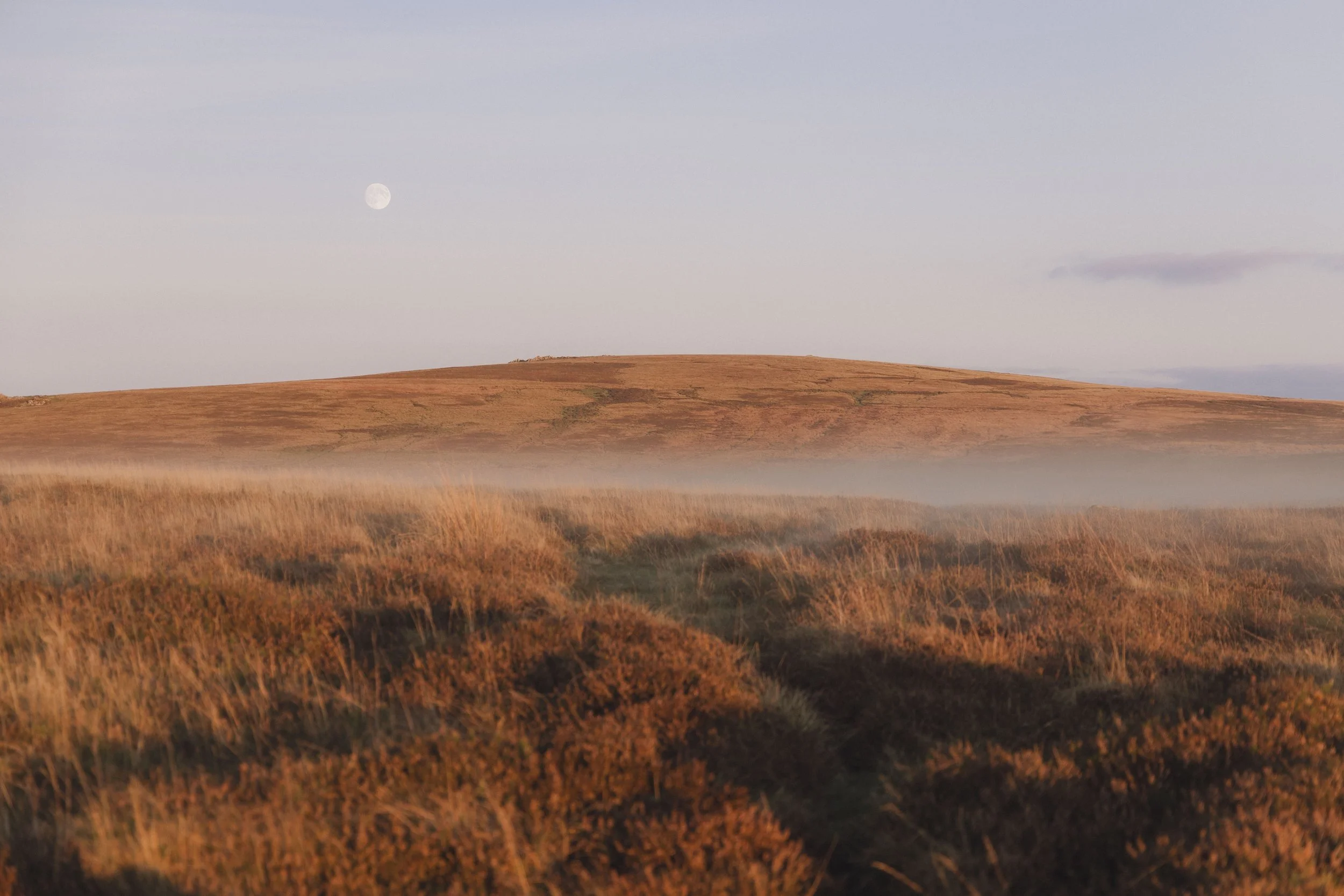 Brook Aurora Pembrokeshire-2.jpg