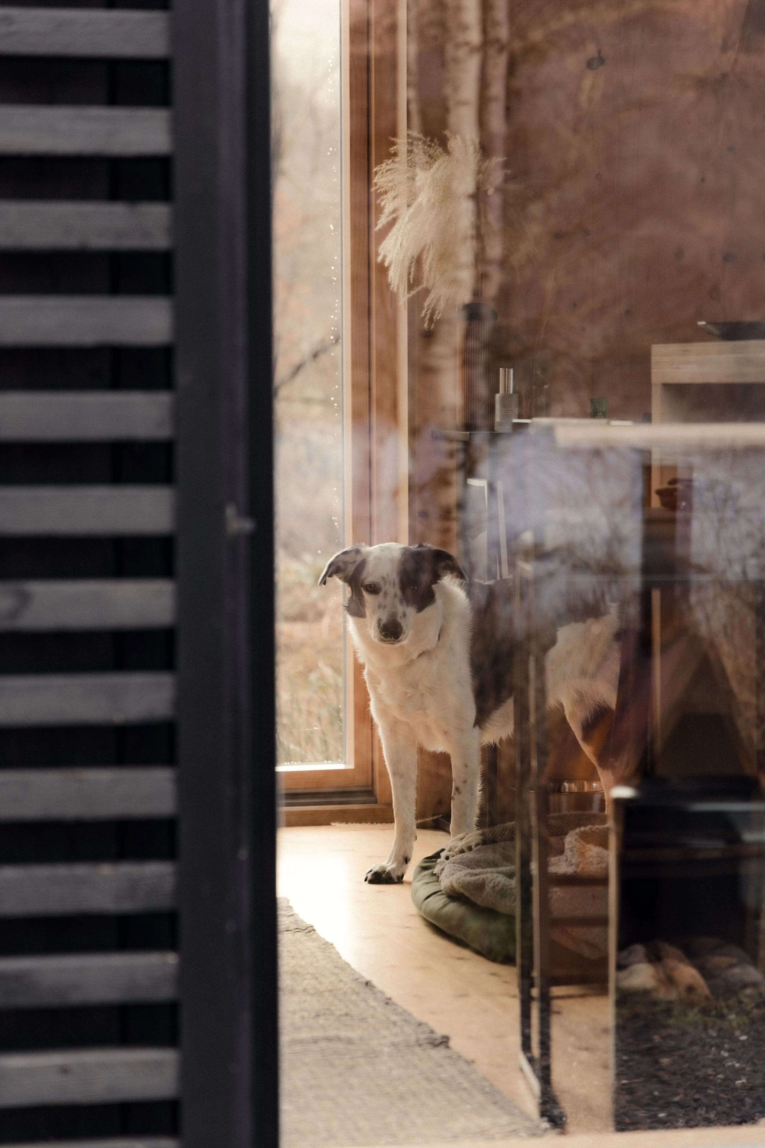 Brook Aurora Lifestyle-22.jpg