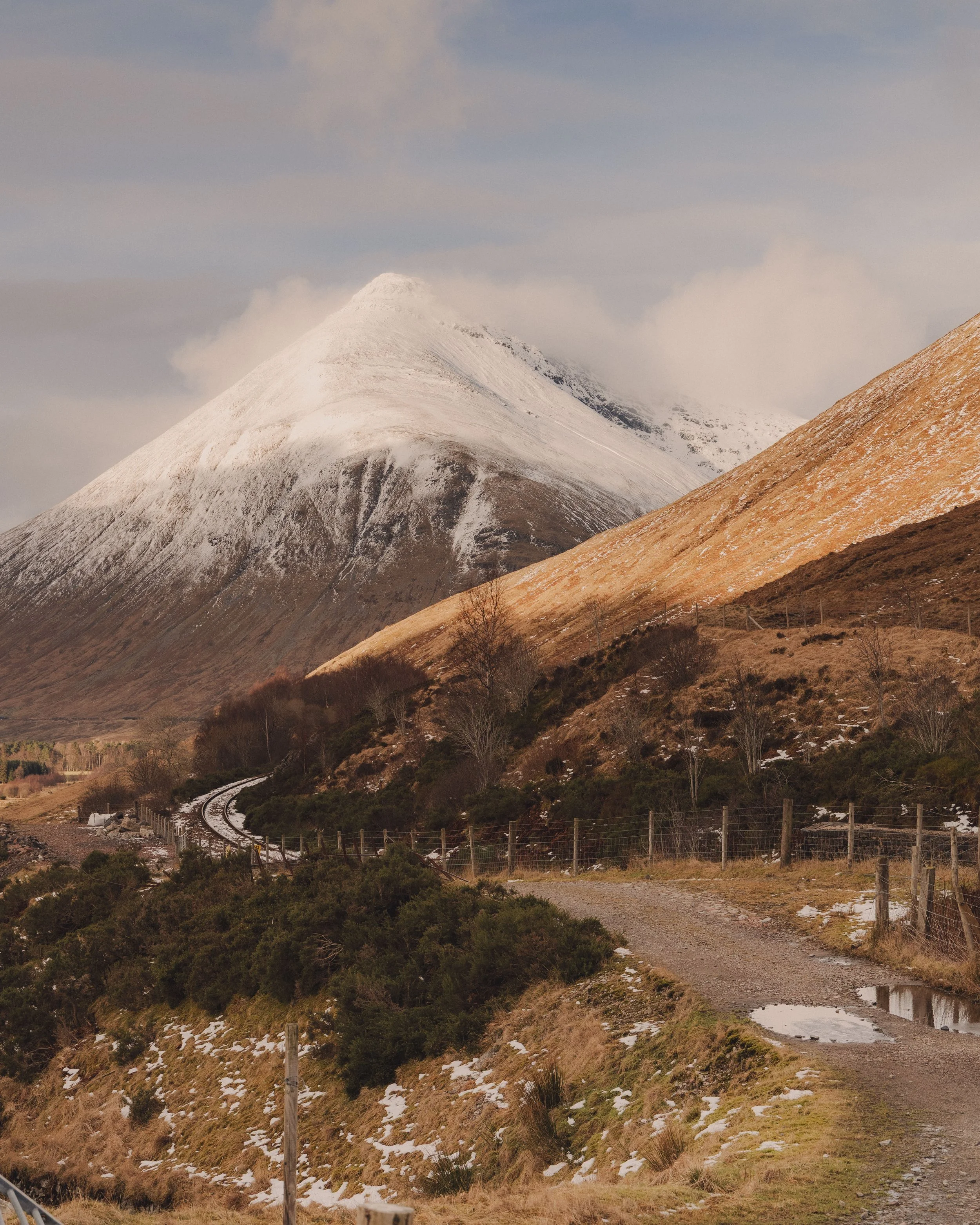 Brook Aurora Travel-43.jpg