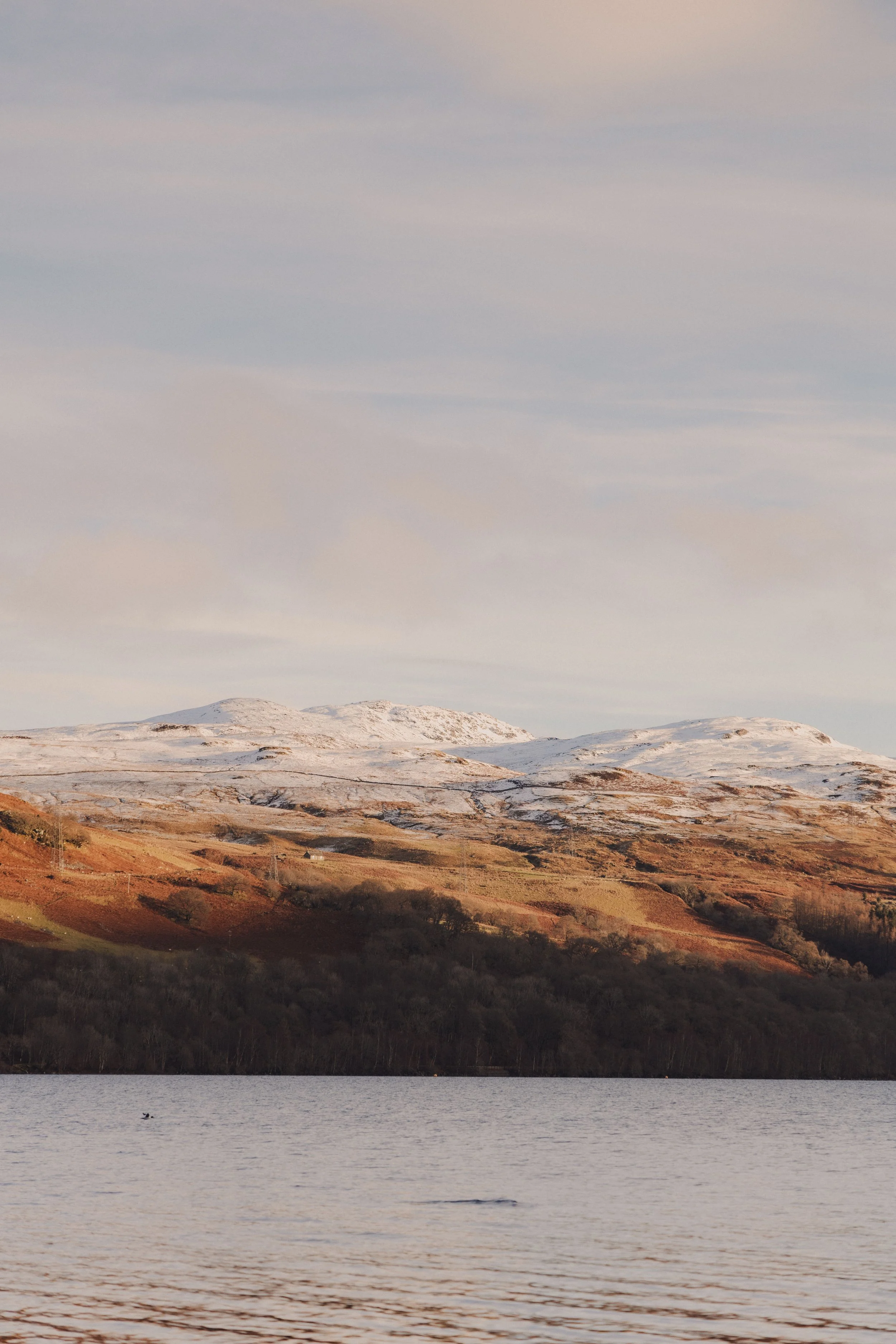 Brook Aurora Travel-42.jpg