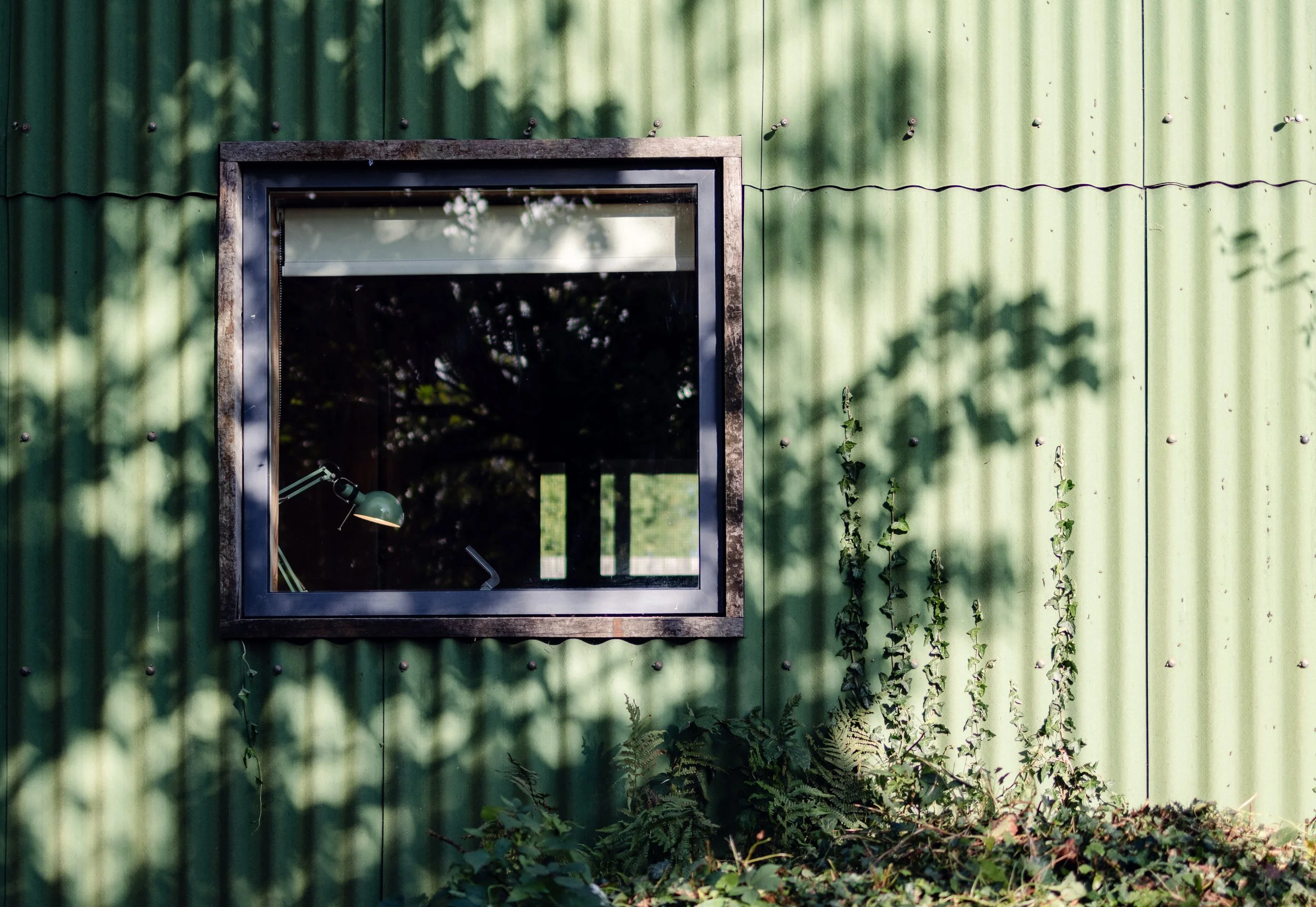 7M1A1087- BrookAurora Fforest_.jpg