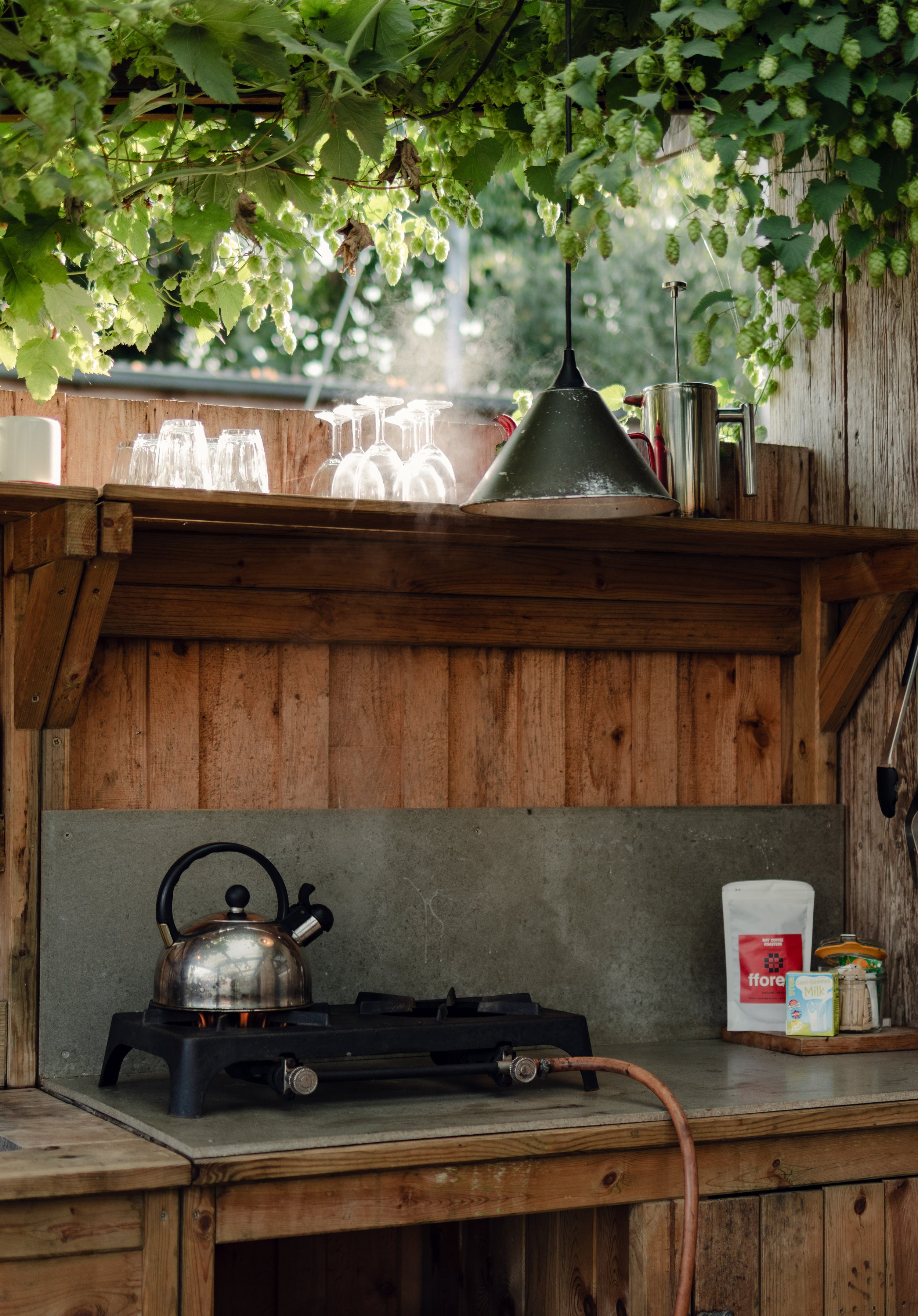 7M1A9912- BrookAurora Fforest_.jpg