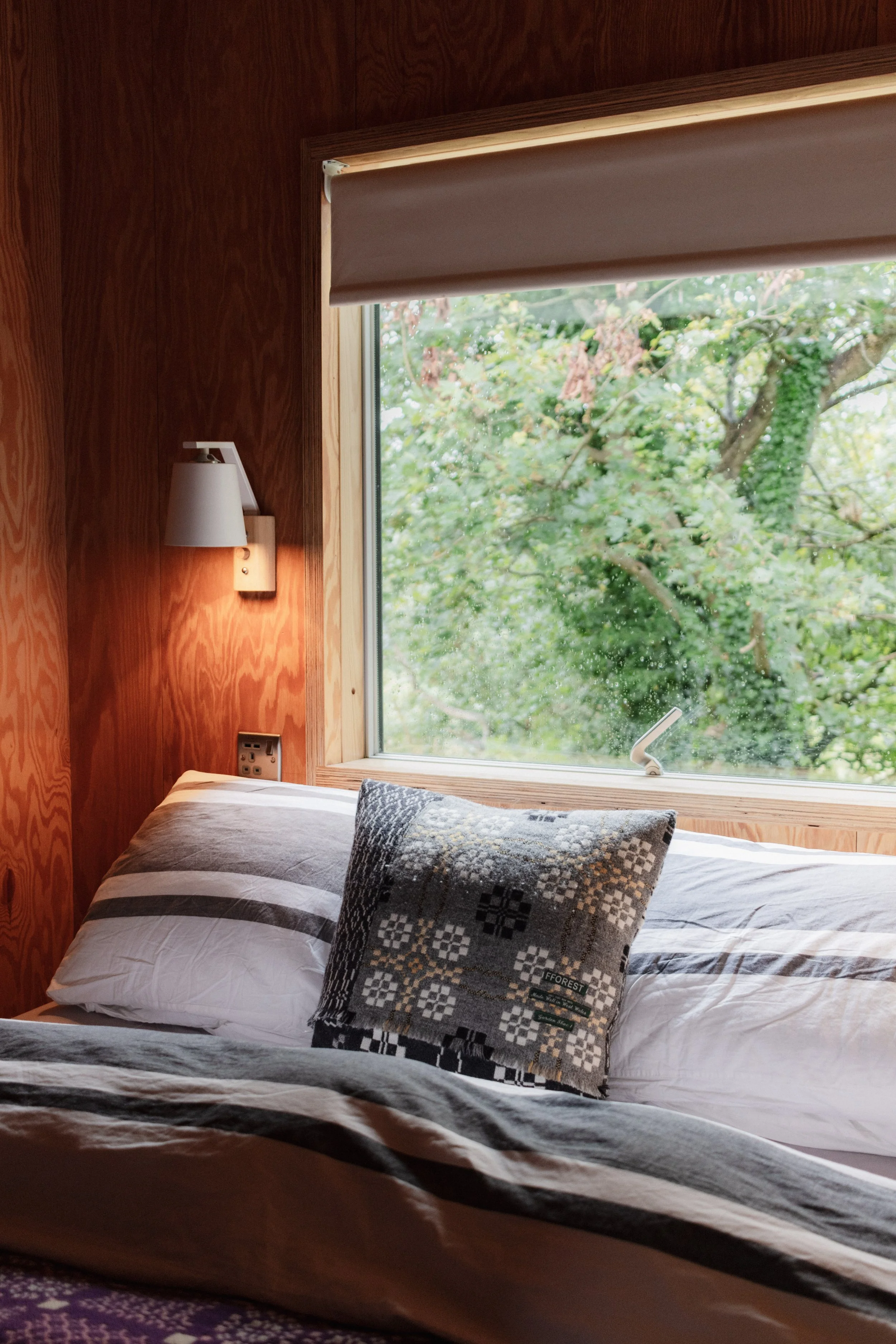 7M1A0973- BrookAurora Fforest_.jpg