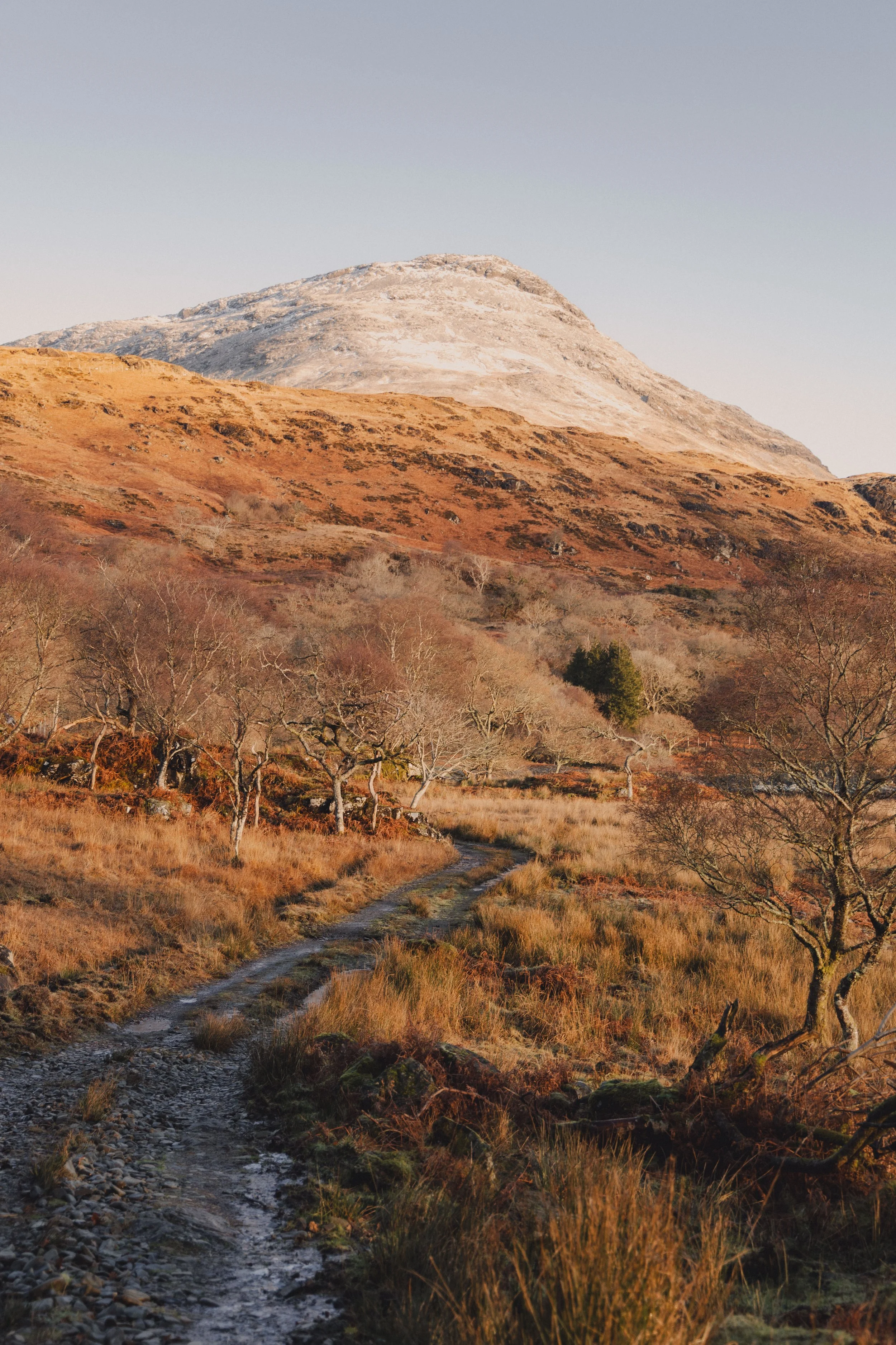 Brook Aurora Travel-84.jpg