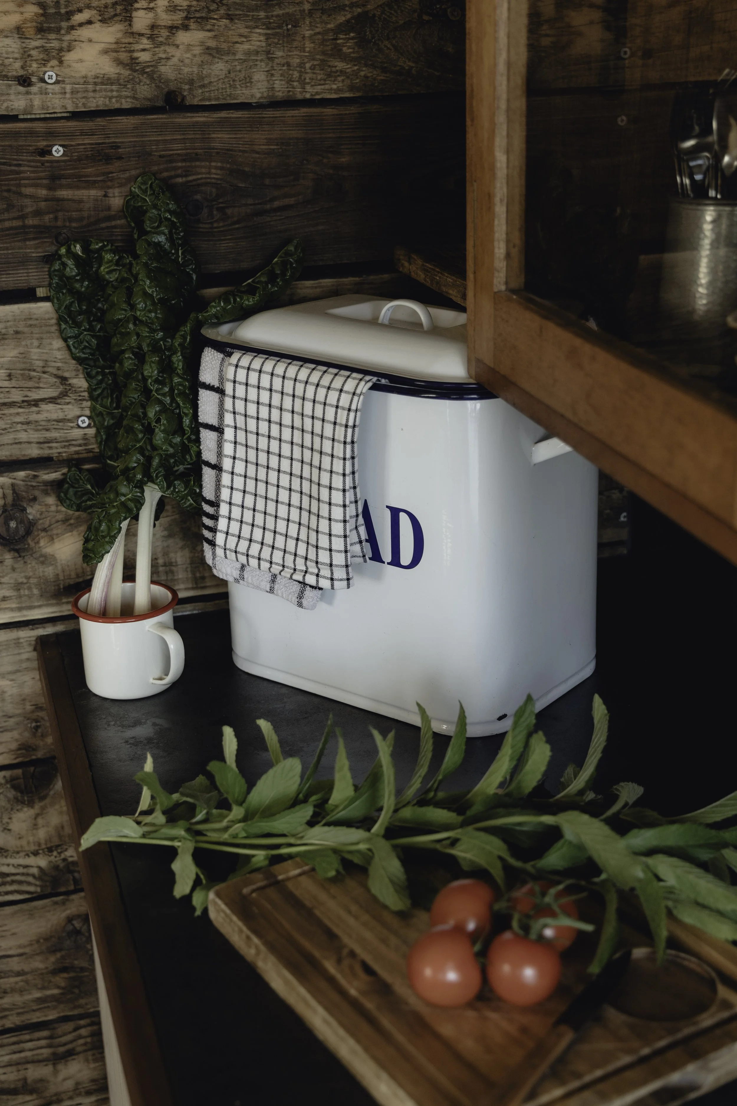 Brook Aurora - Fforest Manorafon-9.jpg