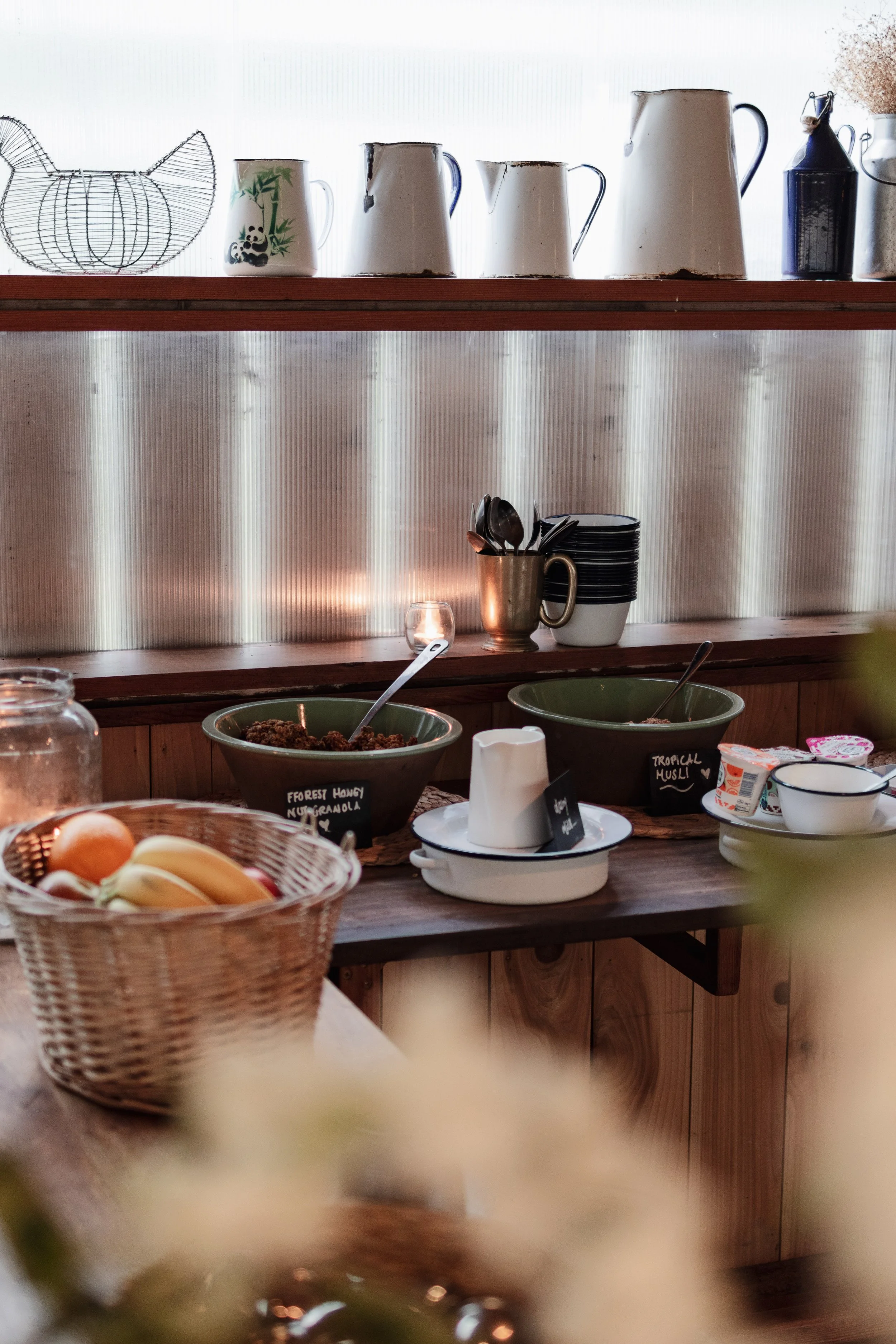 7M1A0546- BrookAurora Fforest_.jpg