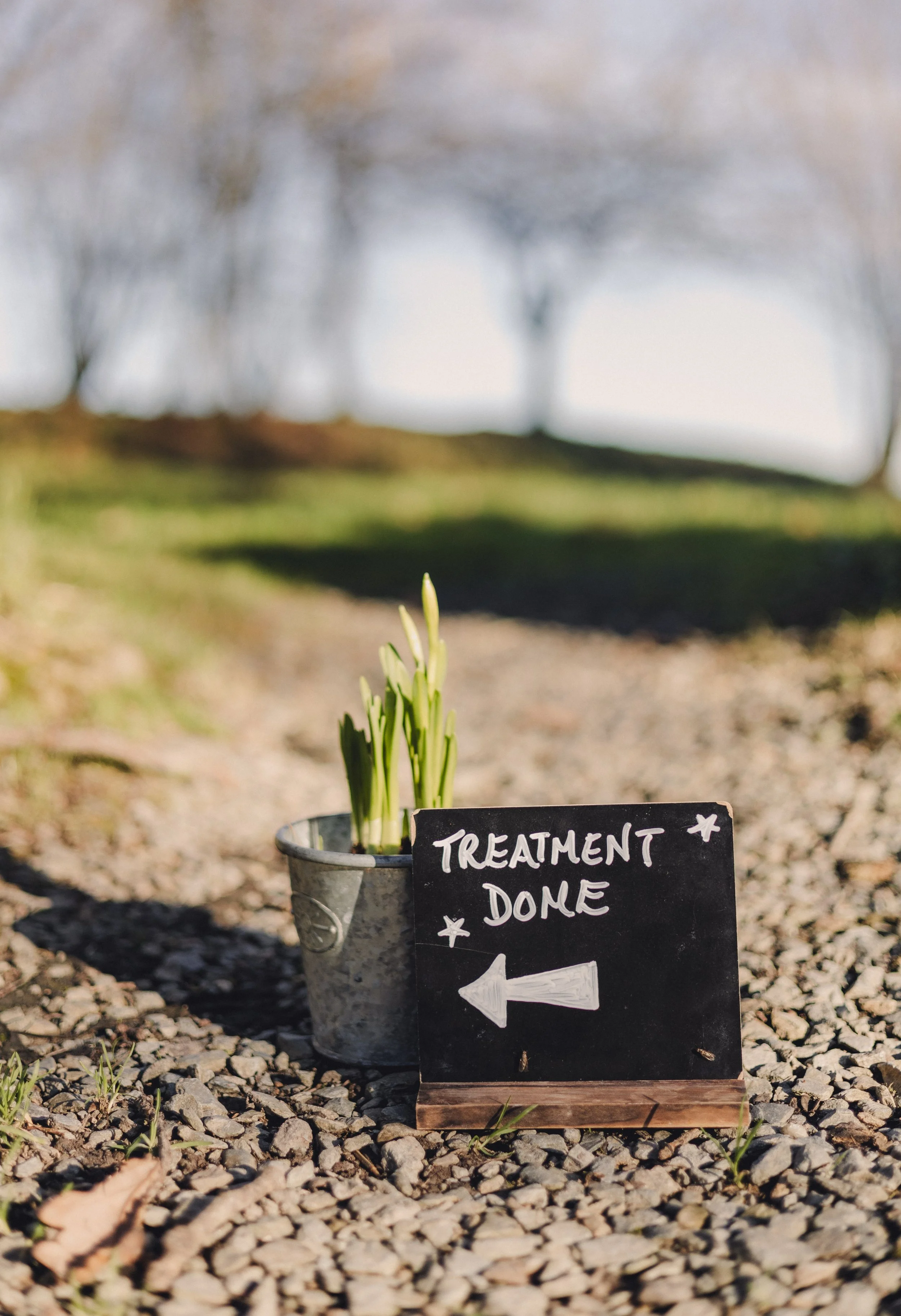 Brook Aurora Fforest Nature Spa-8.jpg