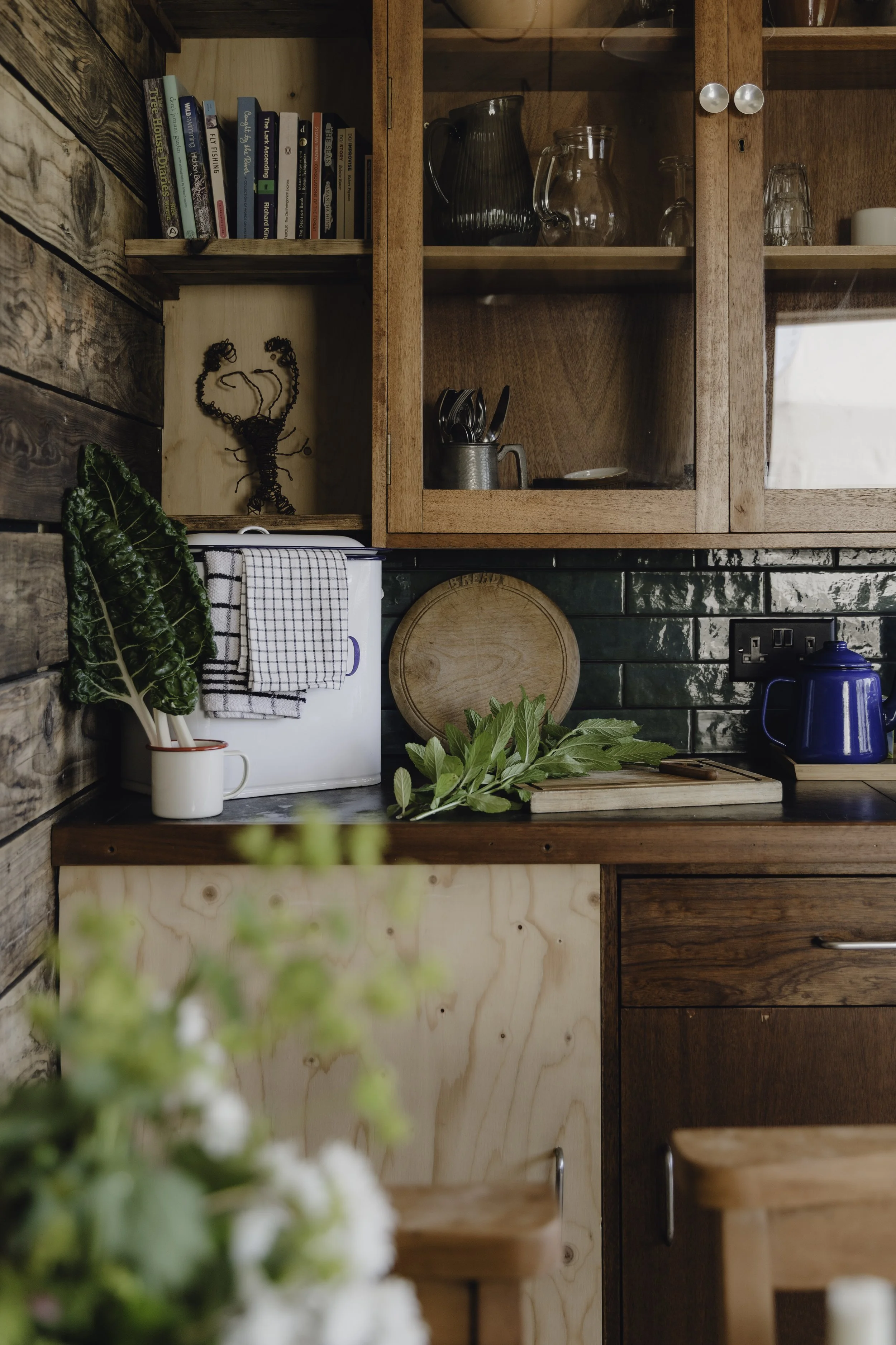 Brook Aurora - Fforest Manorafon.jpg