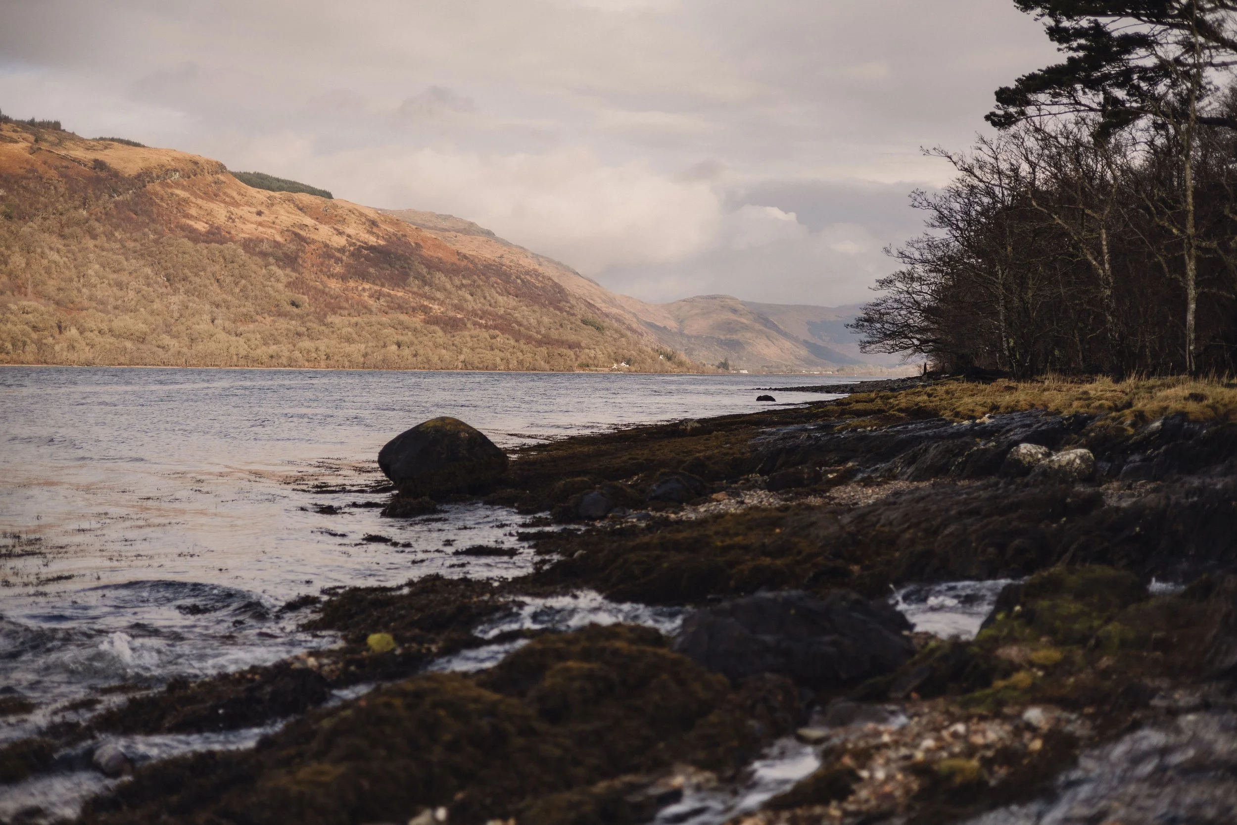 Brook Aurora Kabn Company-20.jpg