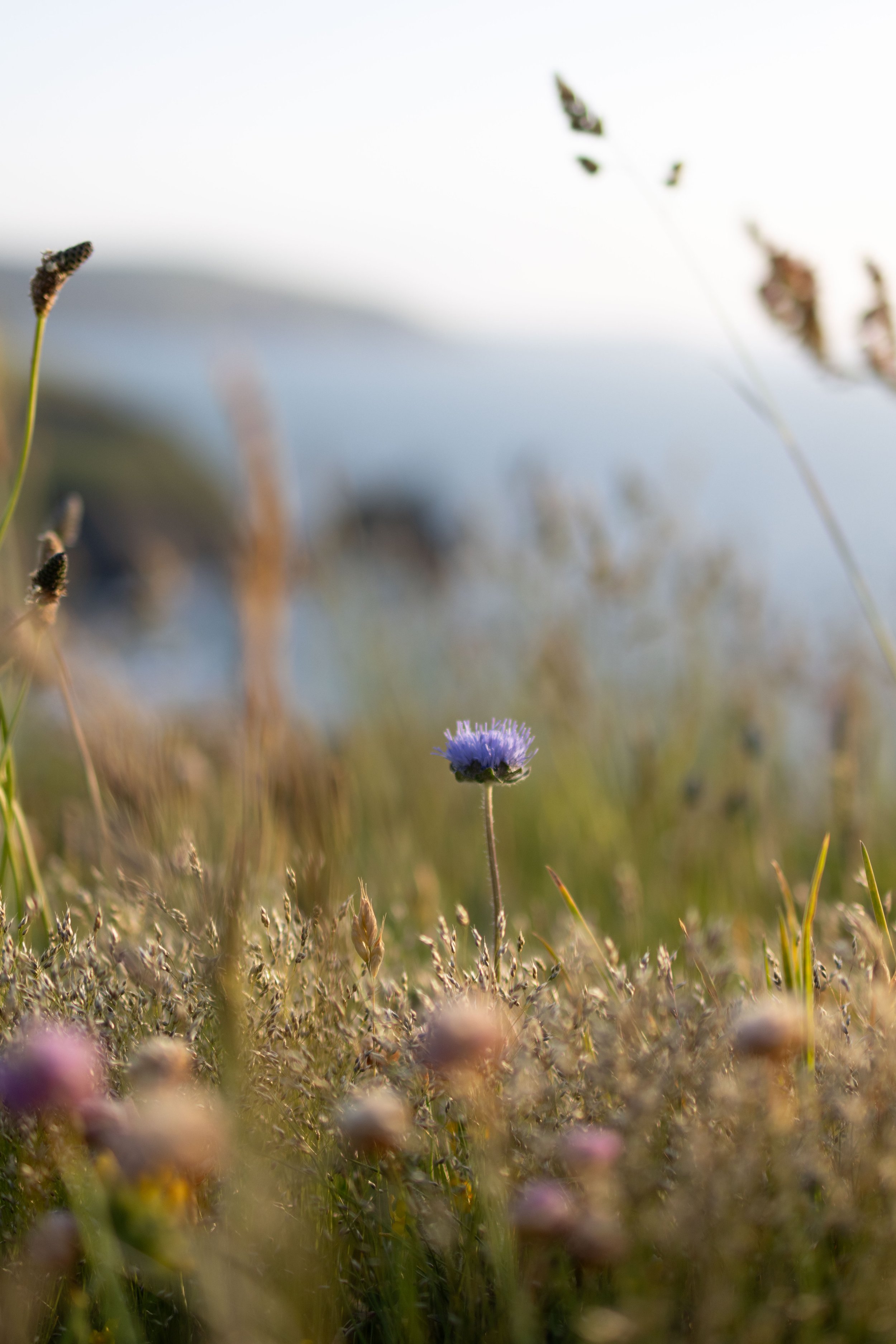 Brook Aurora Pembrokeshire-32.jpg