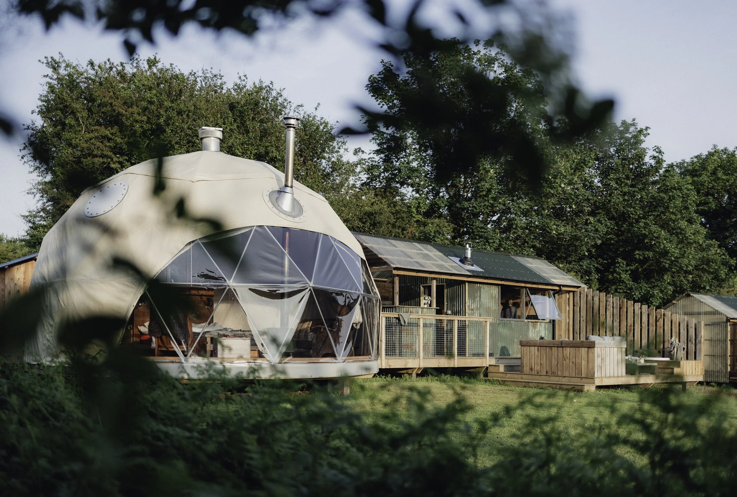 Brook Aurora - Fforest Manorafon-61.jpg