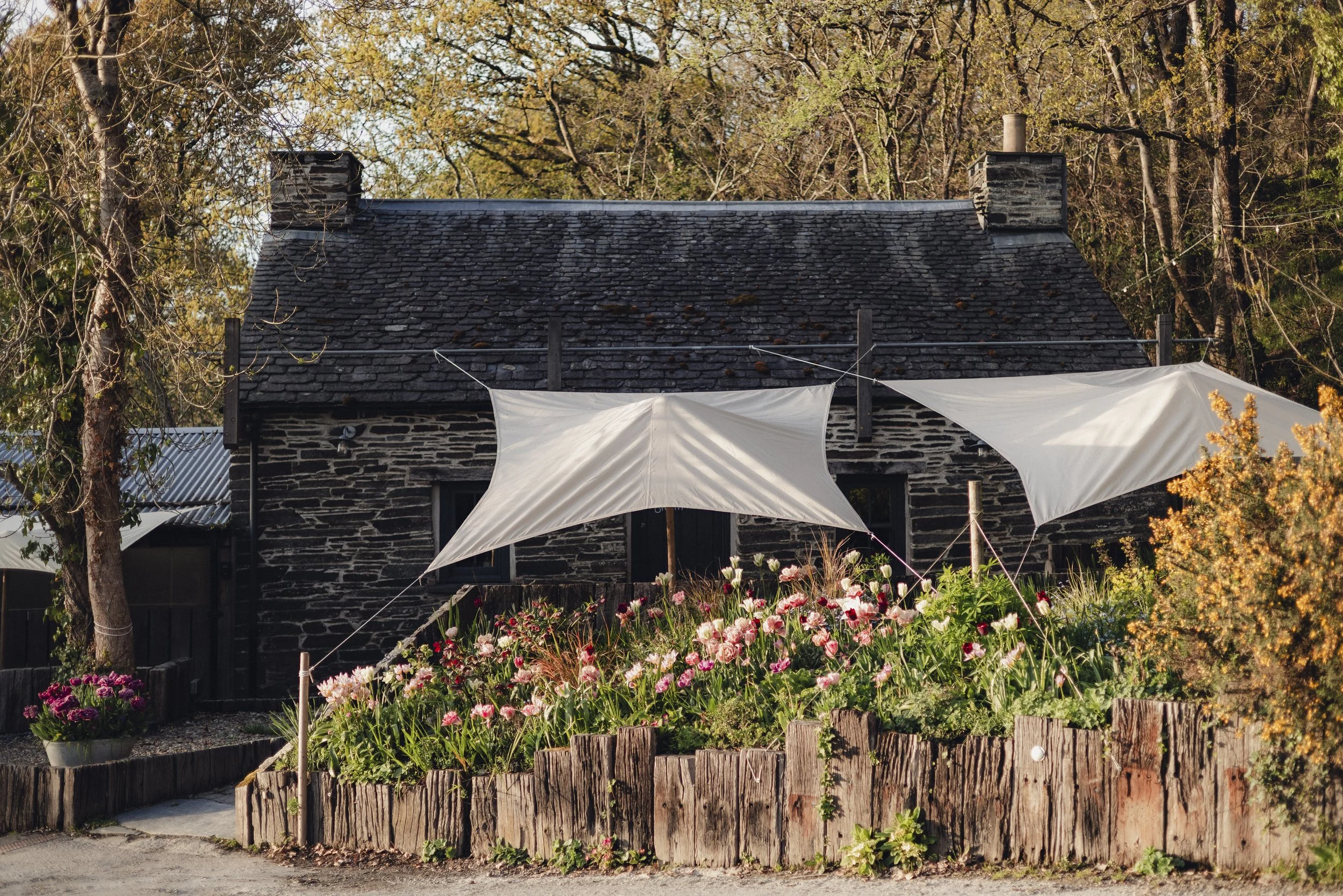 Brook Aurora - Fforest Spring Around Camp-17.jpg