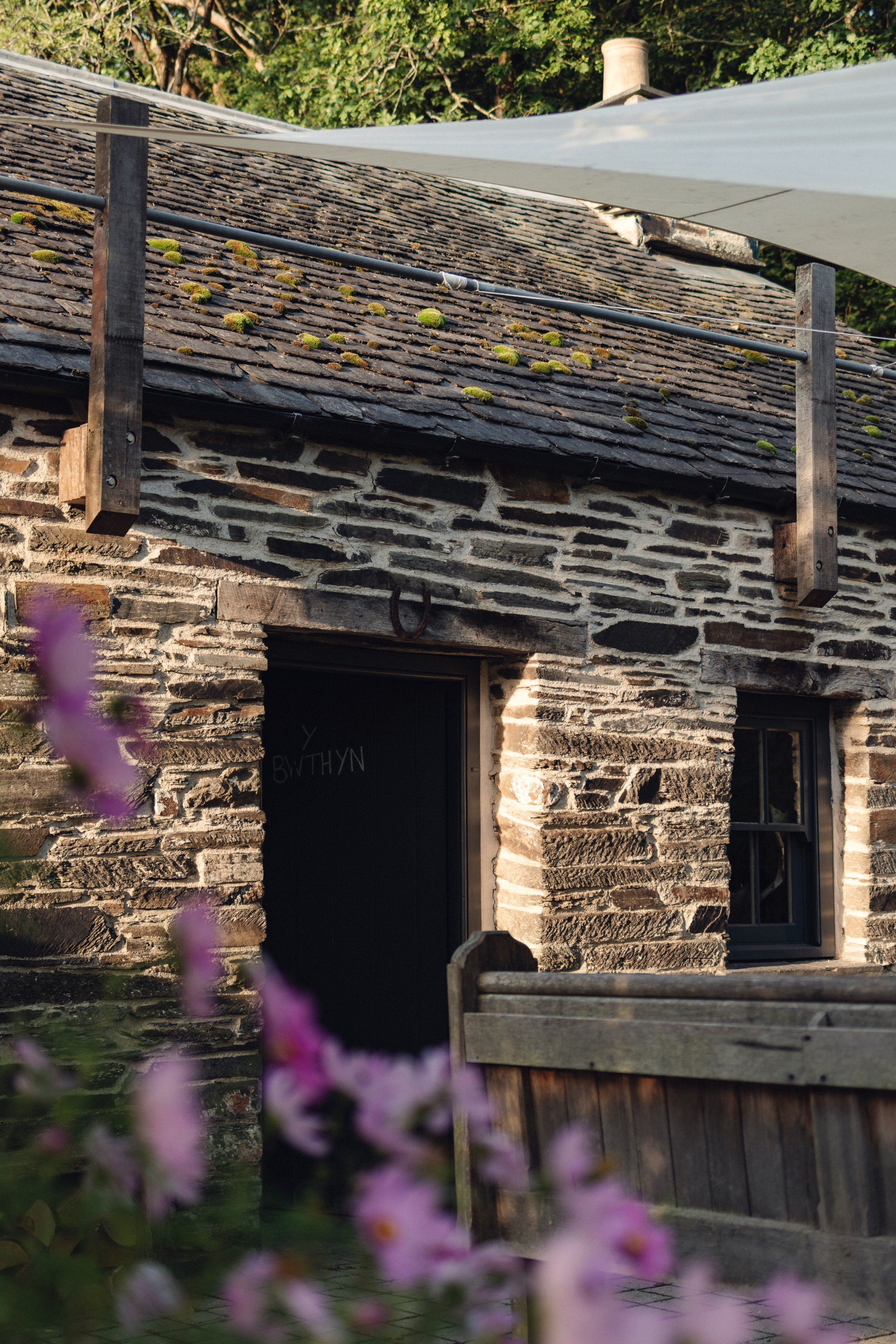 7M1A0209- BrookAurora Fforest_.jpg