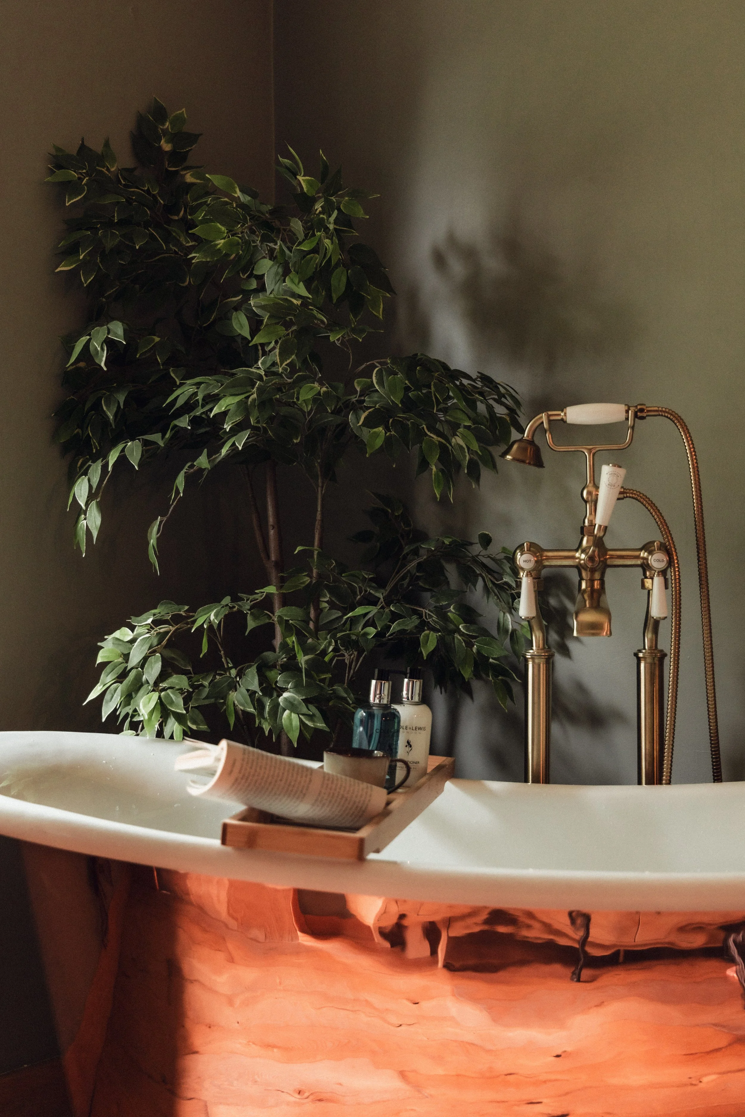 Brook Aurora pembrokeshire-56.jpg