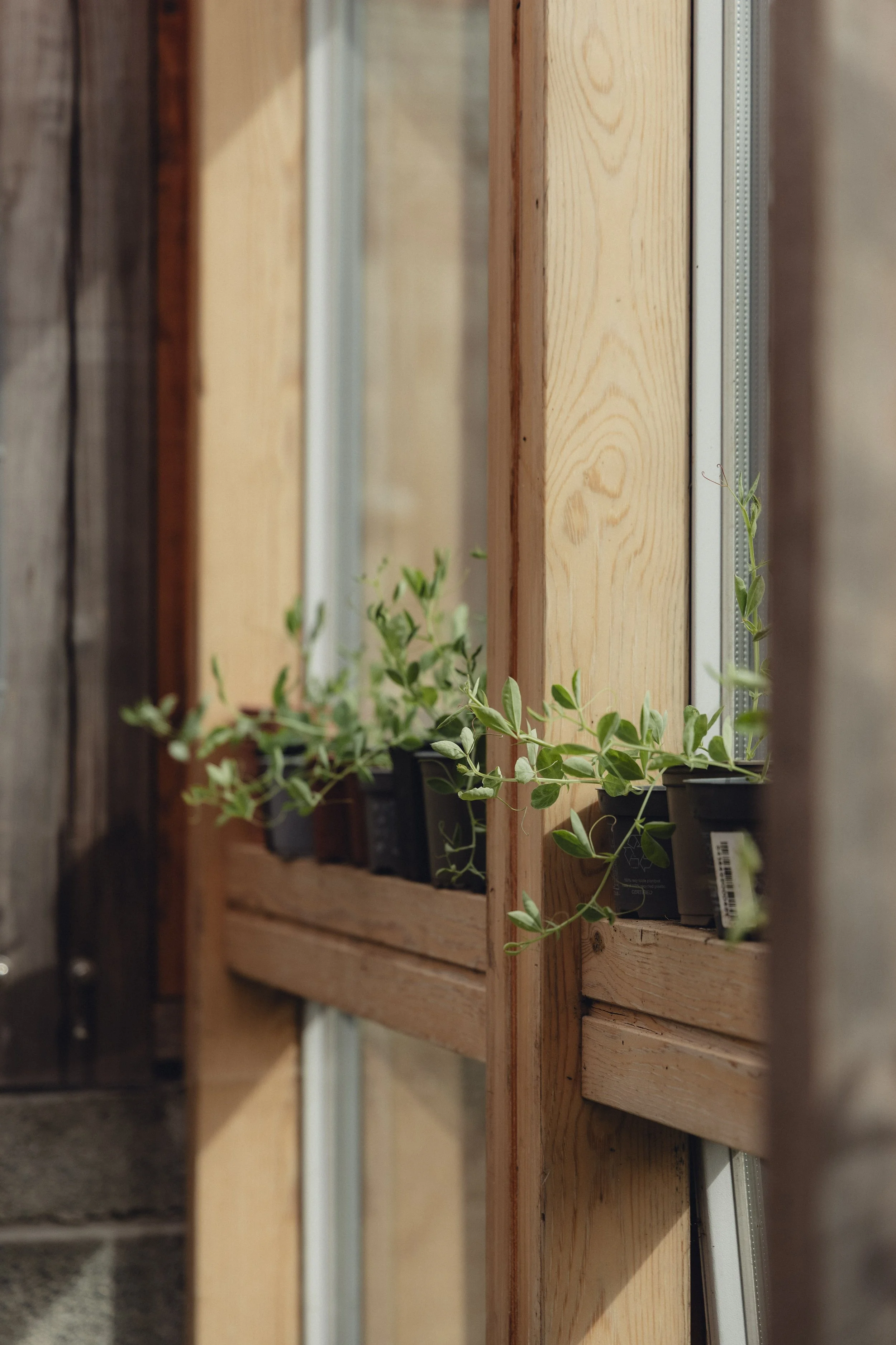 Brook Aurora - Fforest Spring Garden-17.jpg