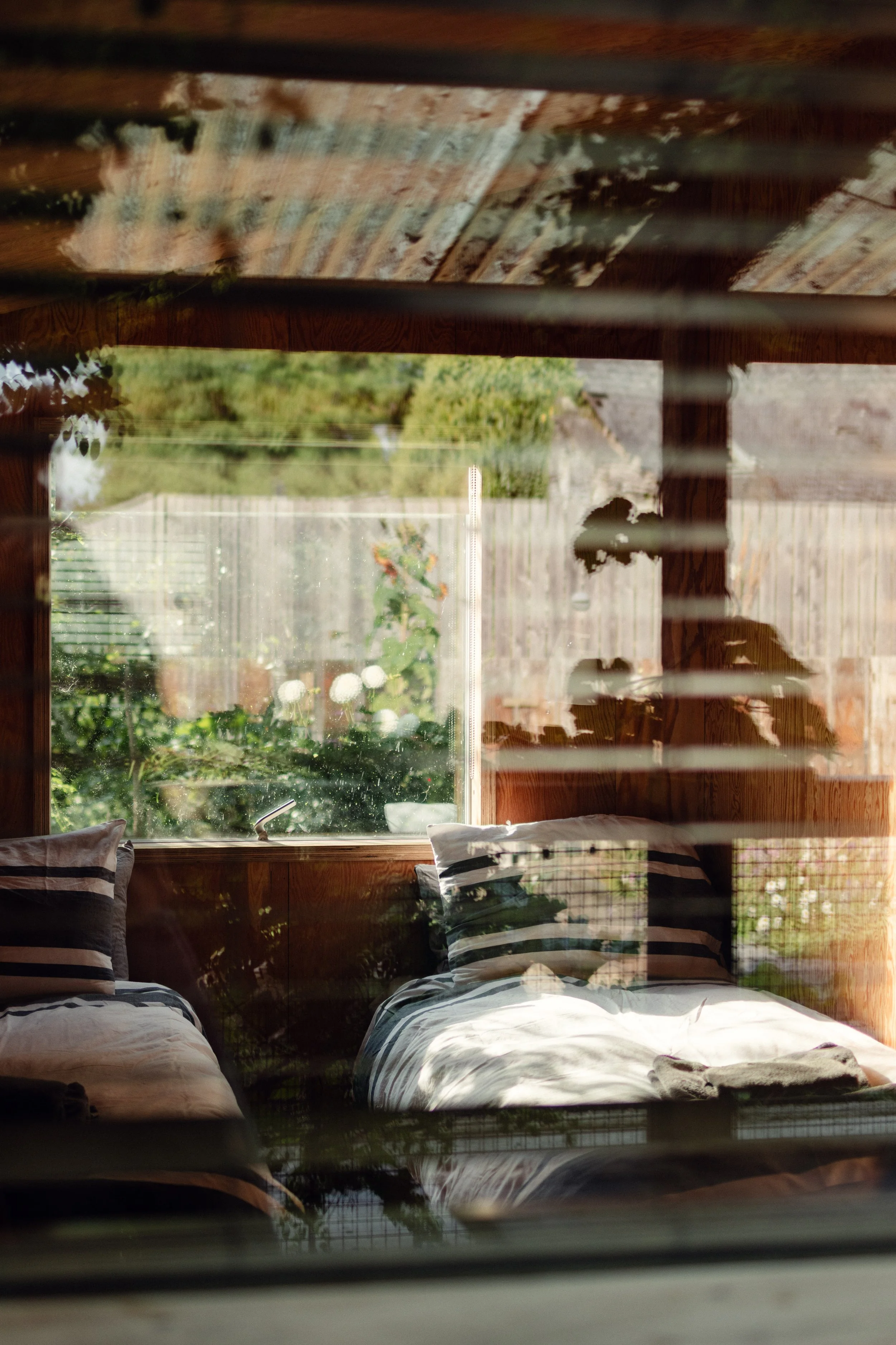 7M1A9903- BrookAurora Fforest_.jpg