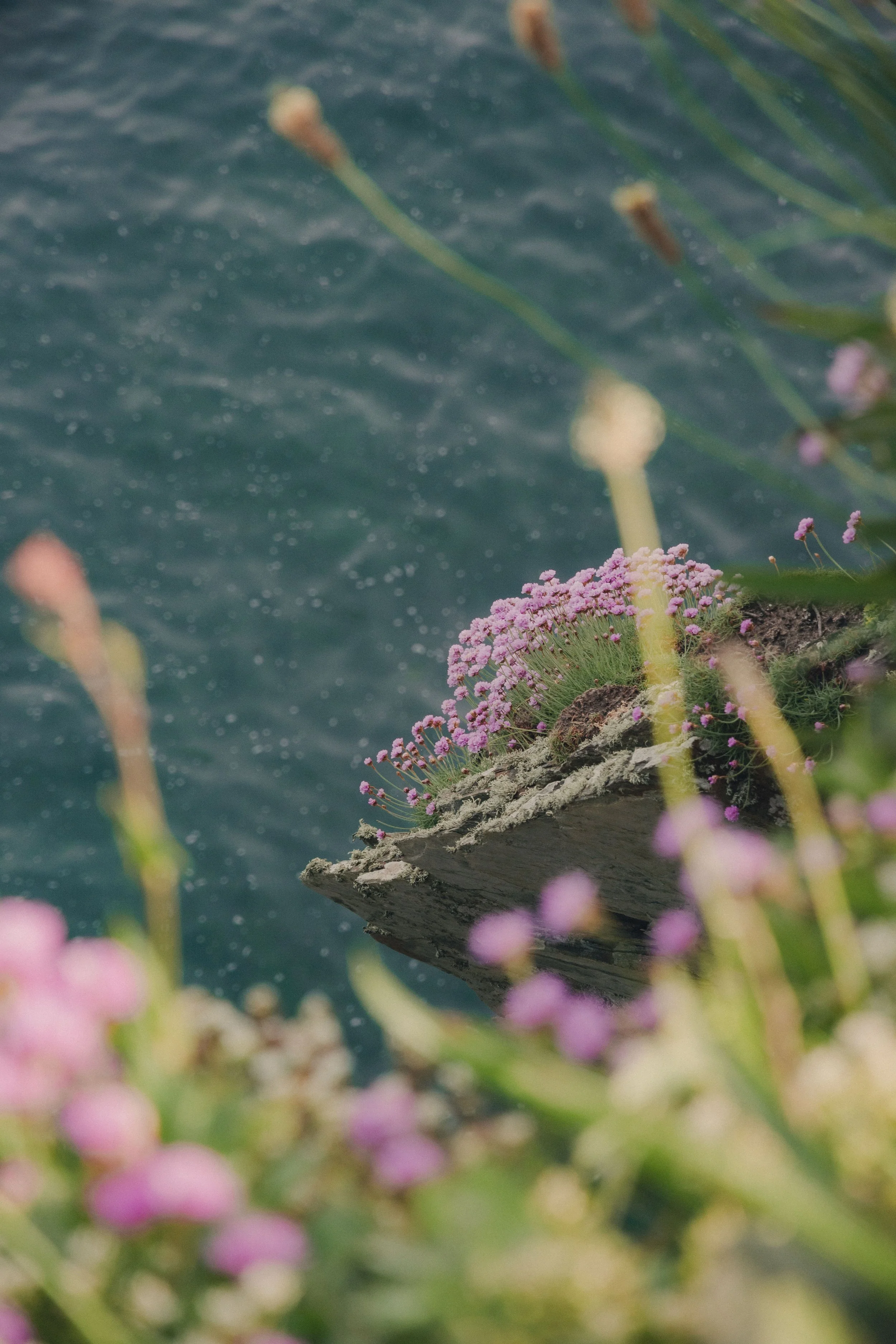 Brook Aurora Pembrokeshire-67.jpg