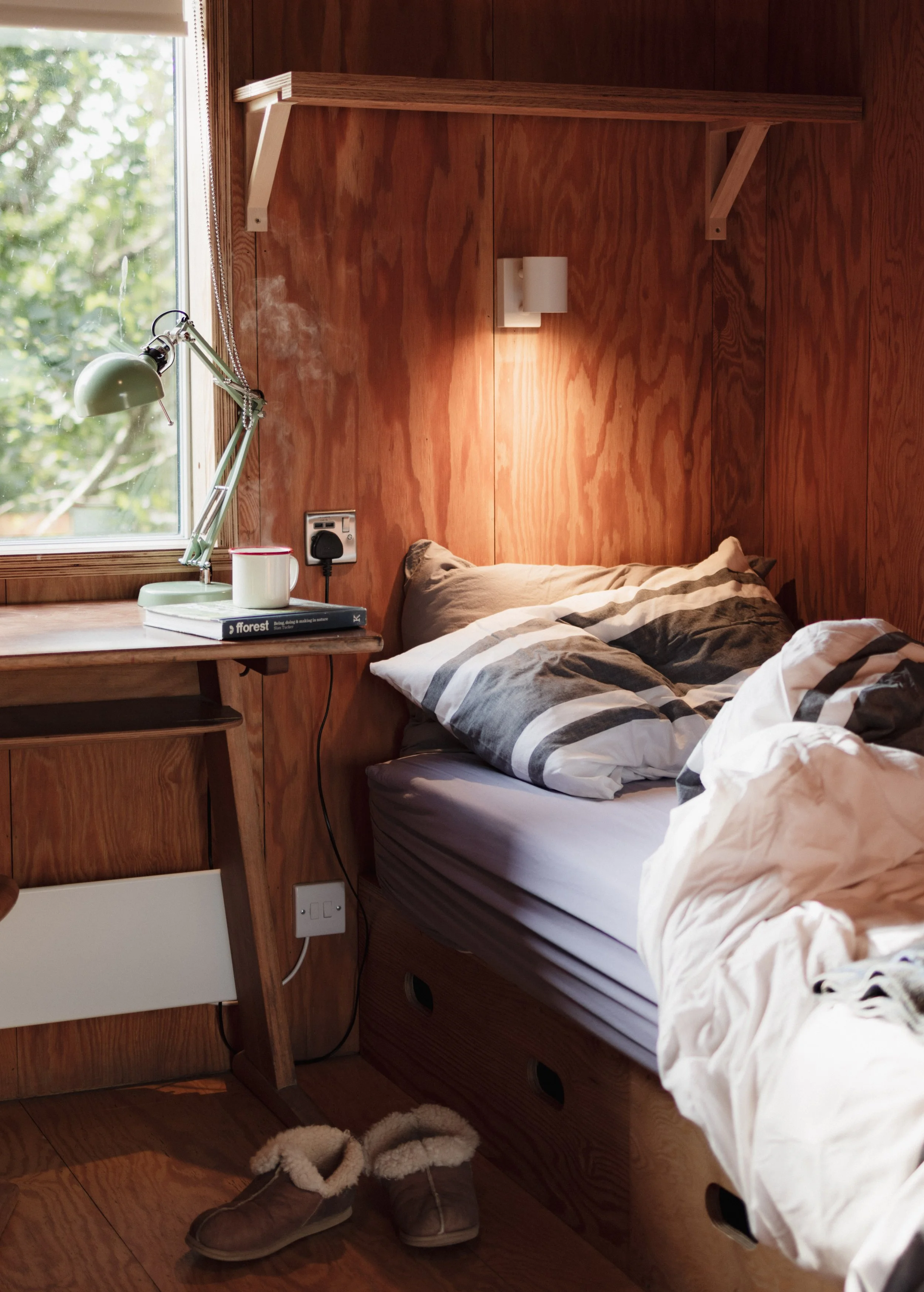 7M1A9921- BrookAurora Fforest_.jpg