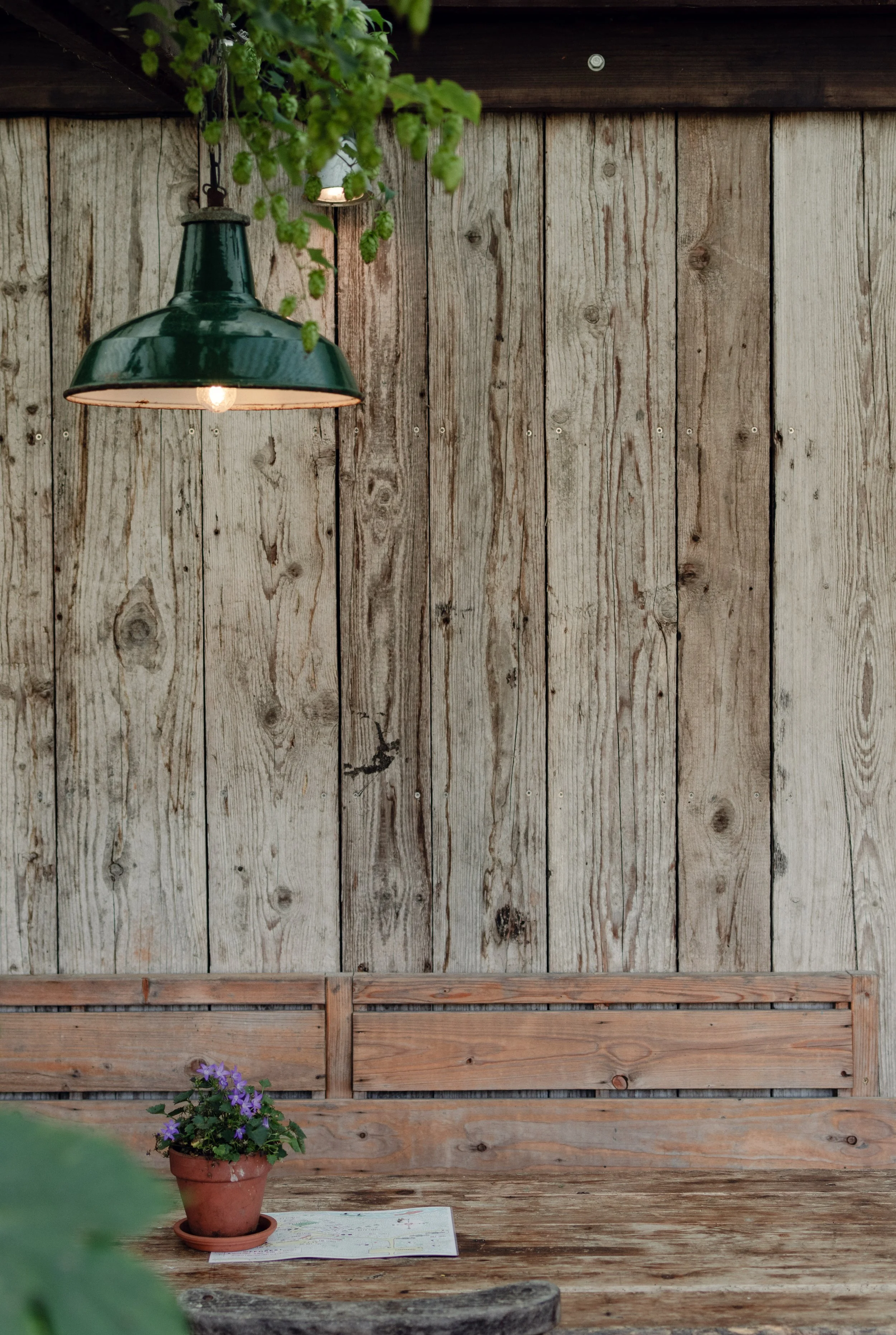 7M1A0017- BrookAurora Fforest_.jpg