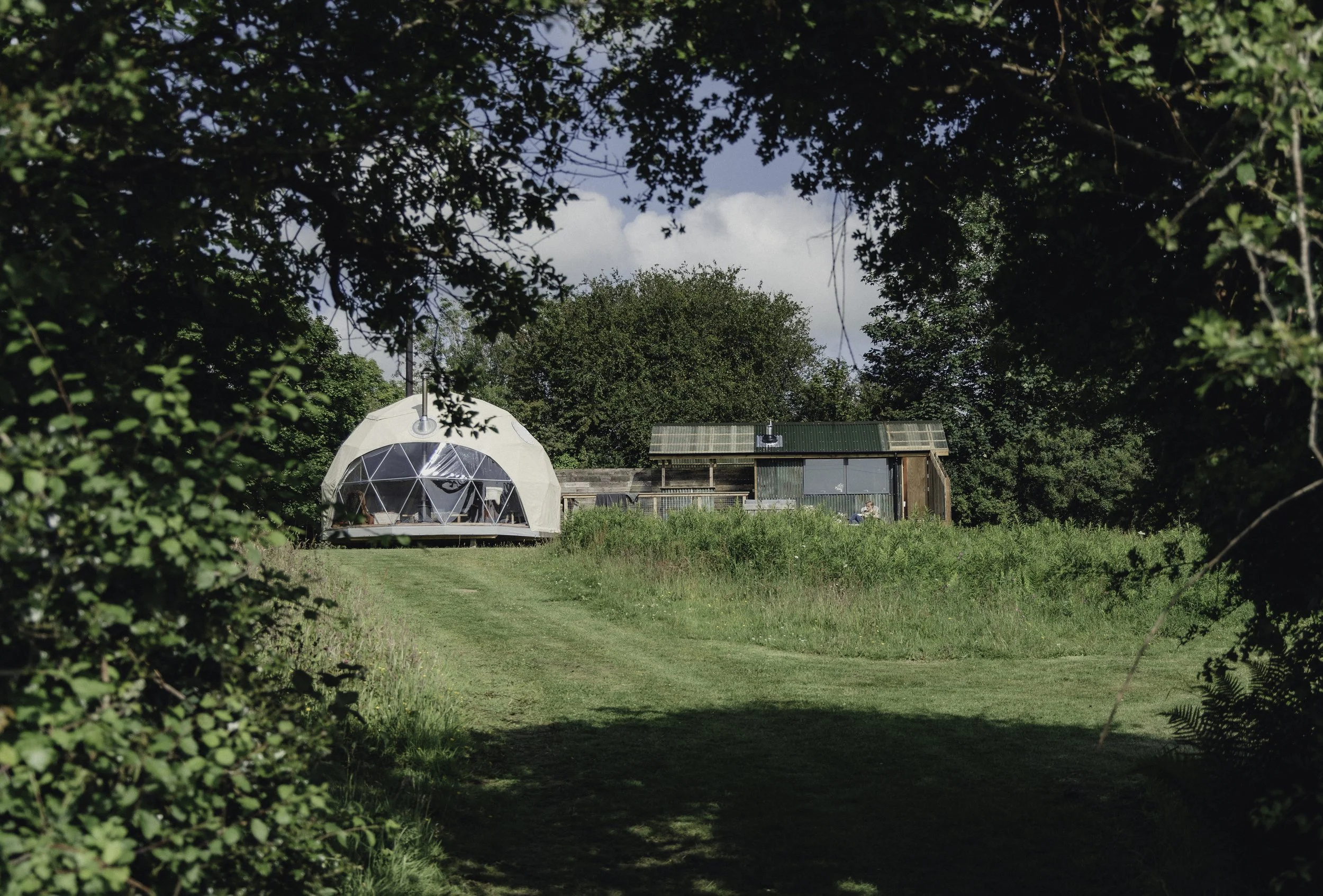 Brook Aurora - Fforest Manorafon-13.jpg