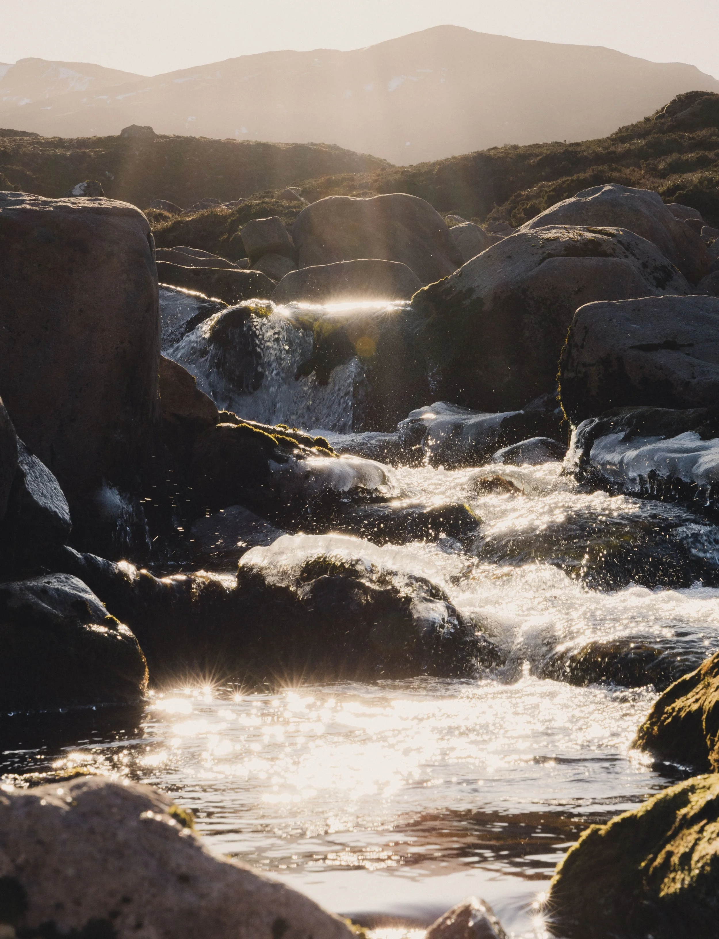 Brook Aurora Travel-71.jpg