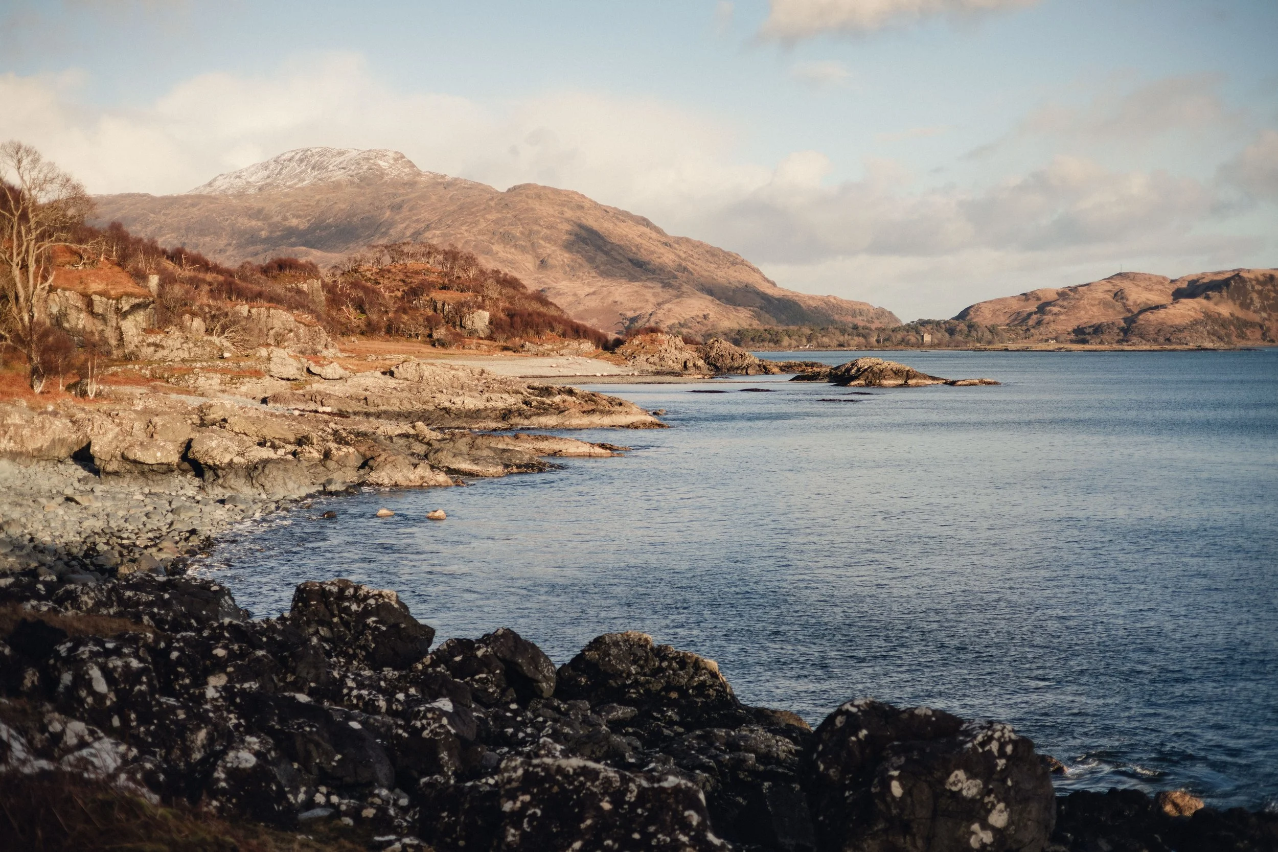 Brook Aurora Travel-60.jpg