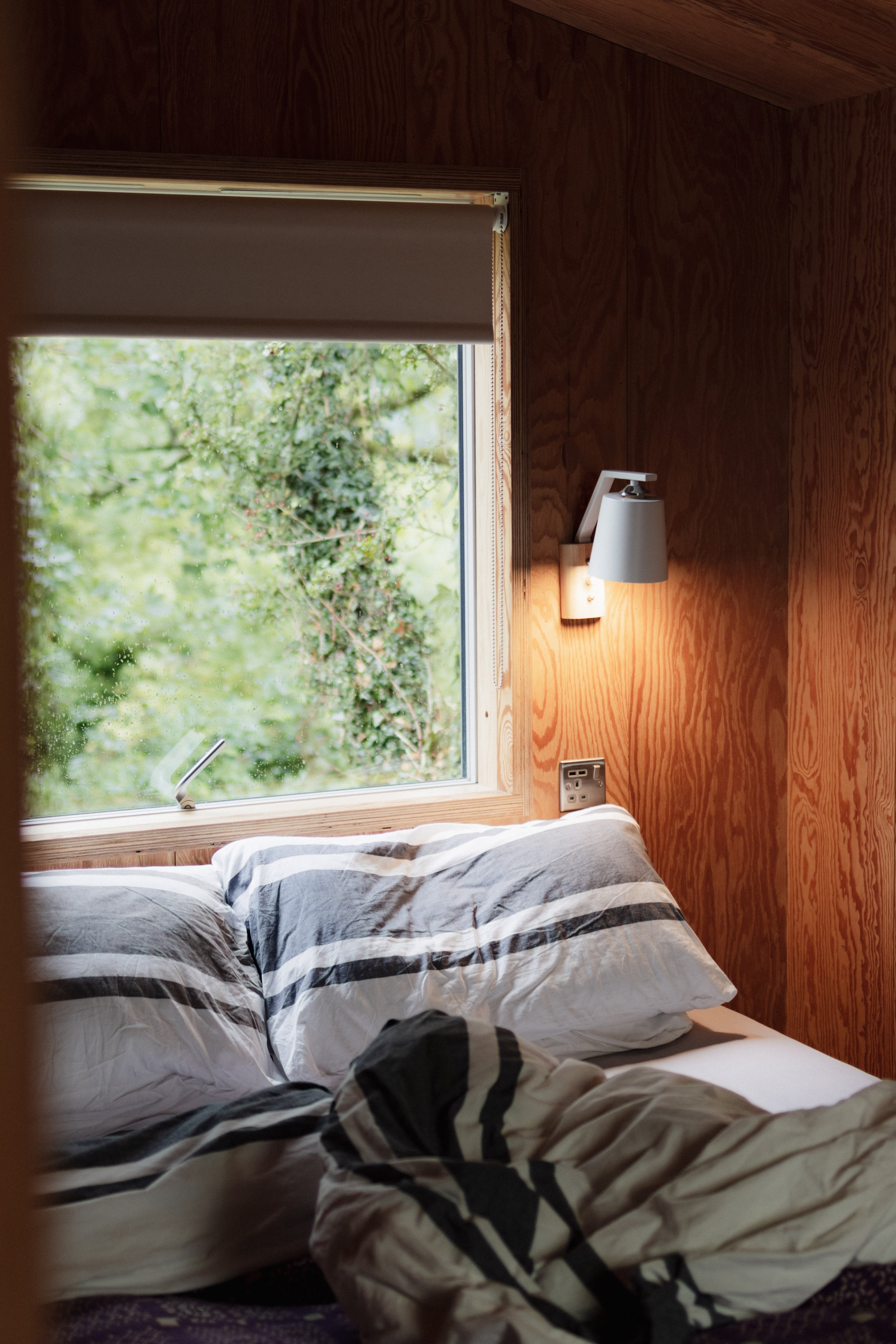 7M1A0950- BrookAurora Fforest_.jpg