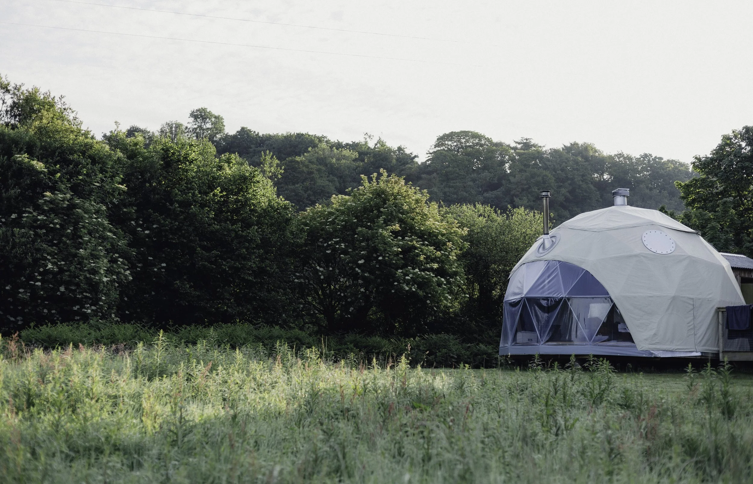 Brook Aurora - Fforest Manorafon-93.jpg