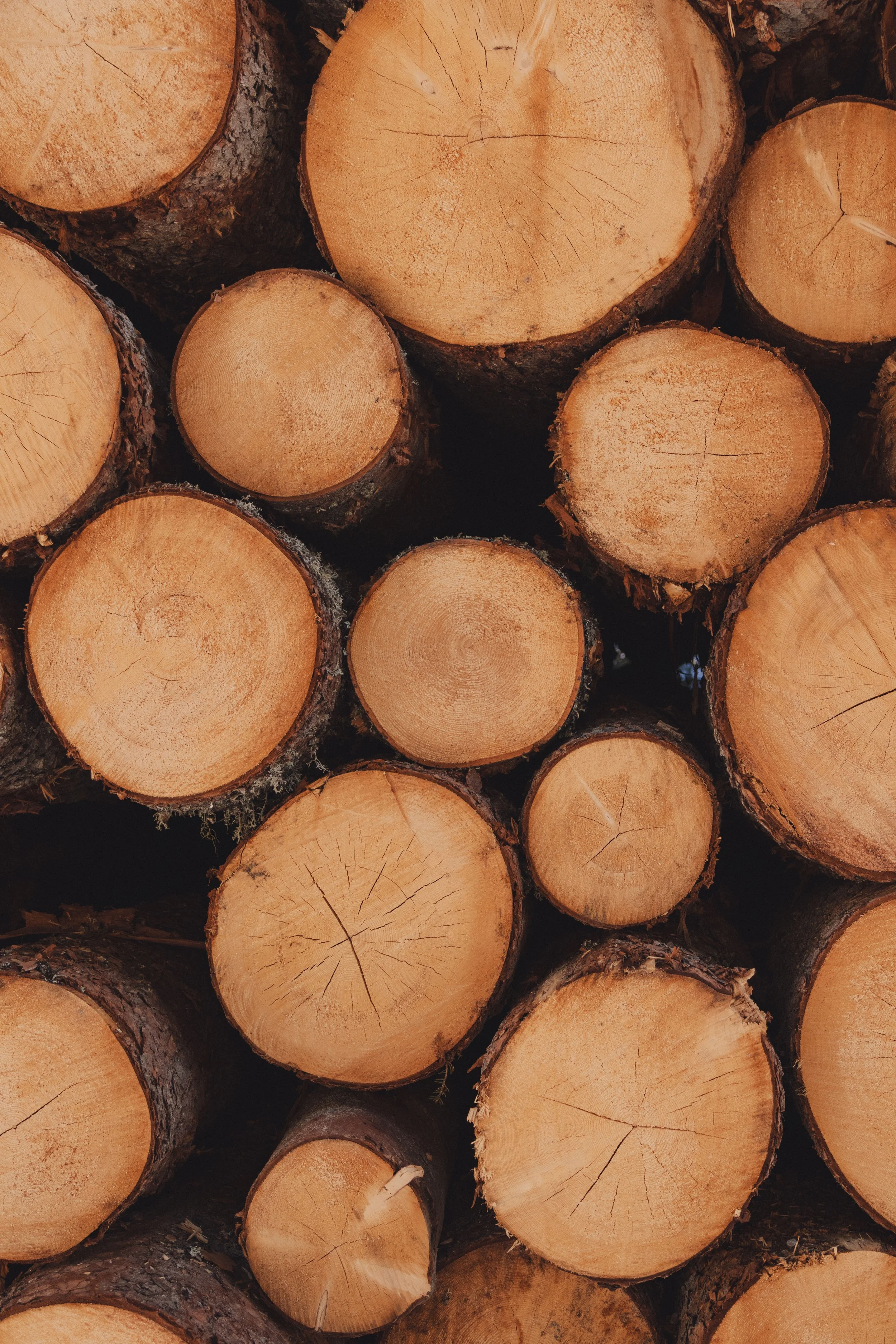 Brook Aurora Travel-34.jpg