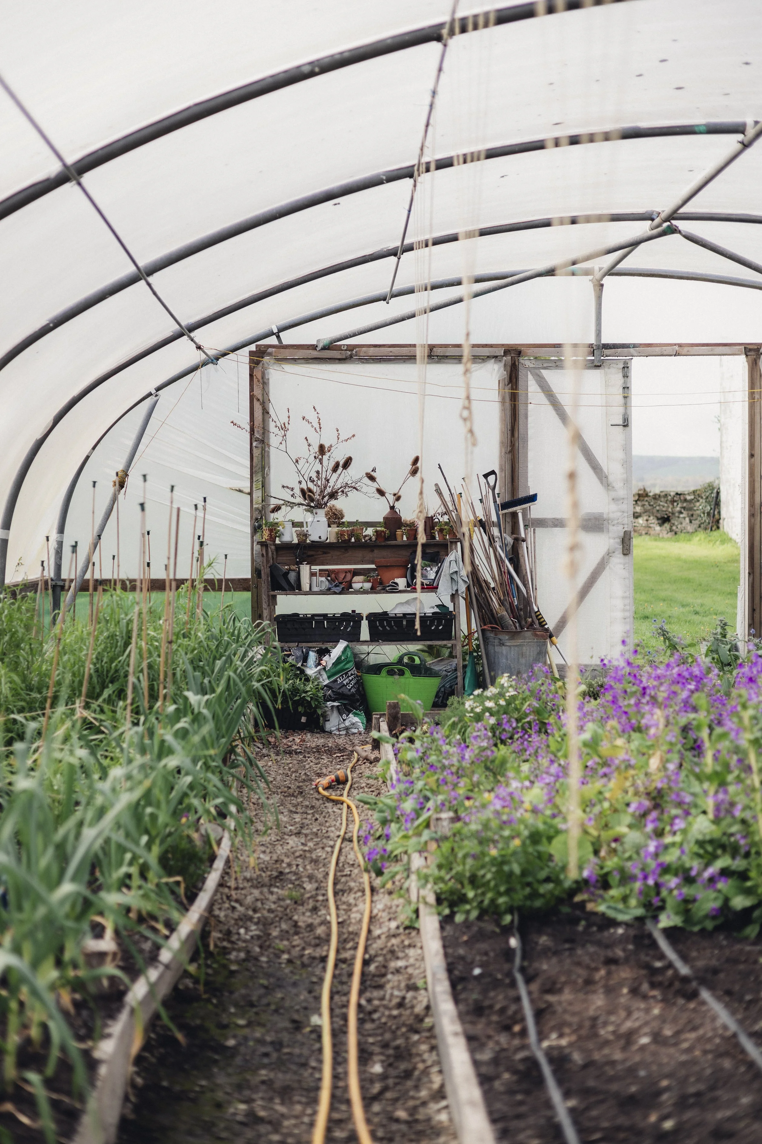 Brook Aurora - Fforest Spring Garden-4.jpg