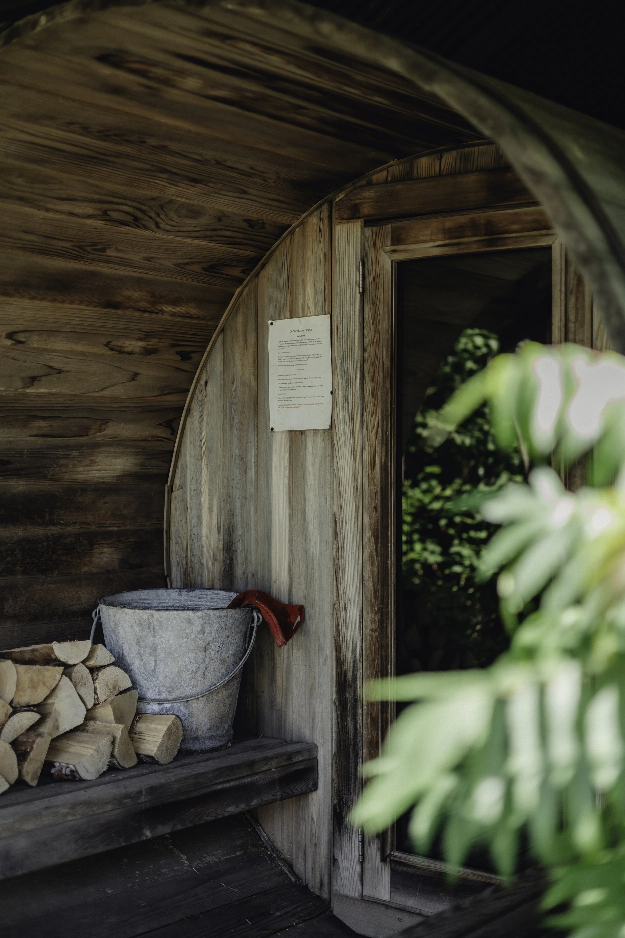 Brook Aurora - Fforest Manorafon-124.jpg