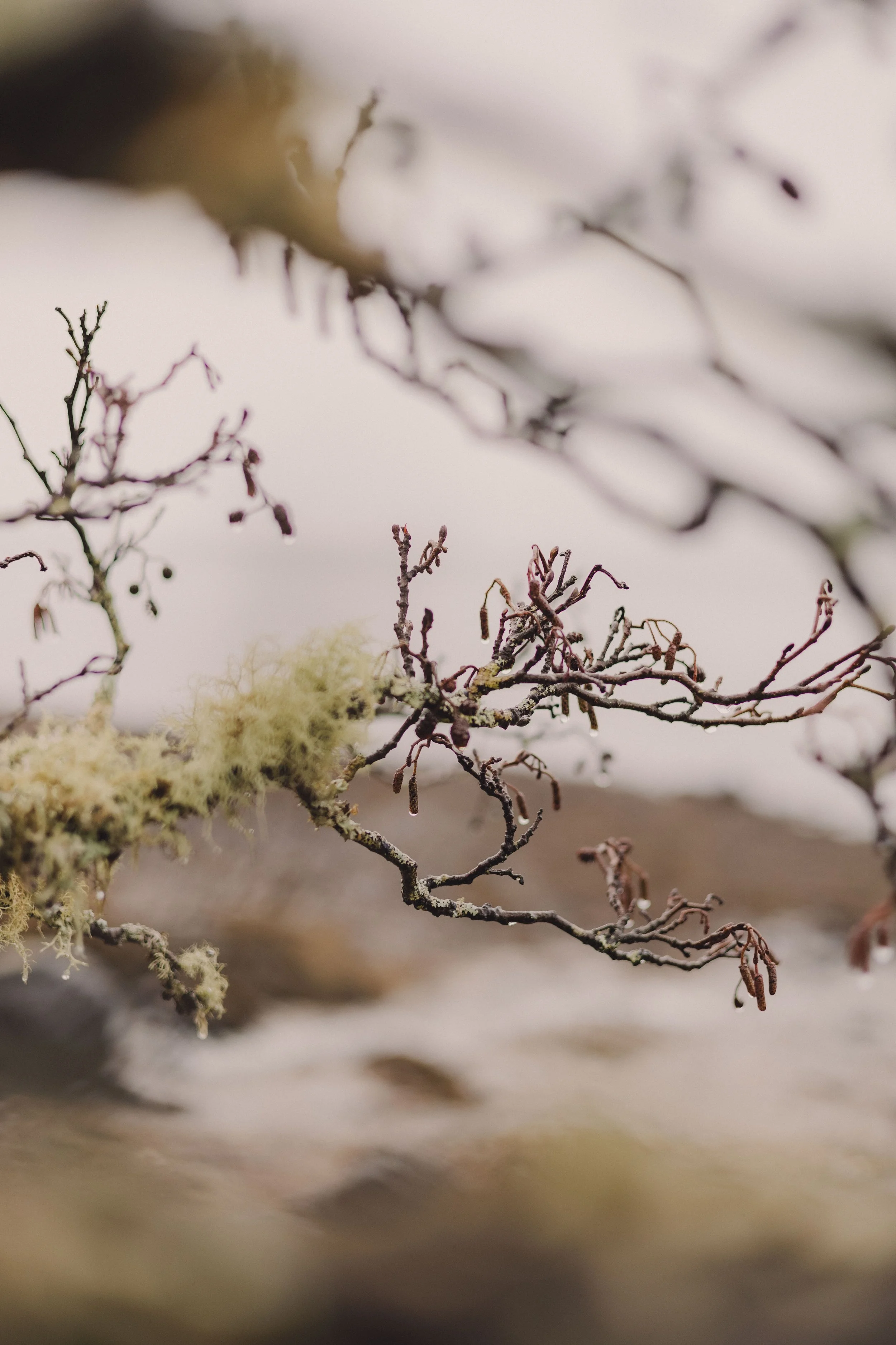 Brook Aurora Kabn Company-7.jpg