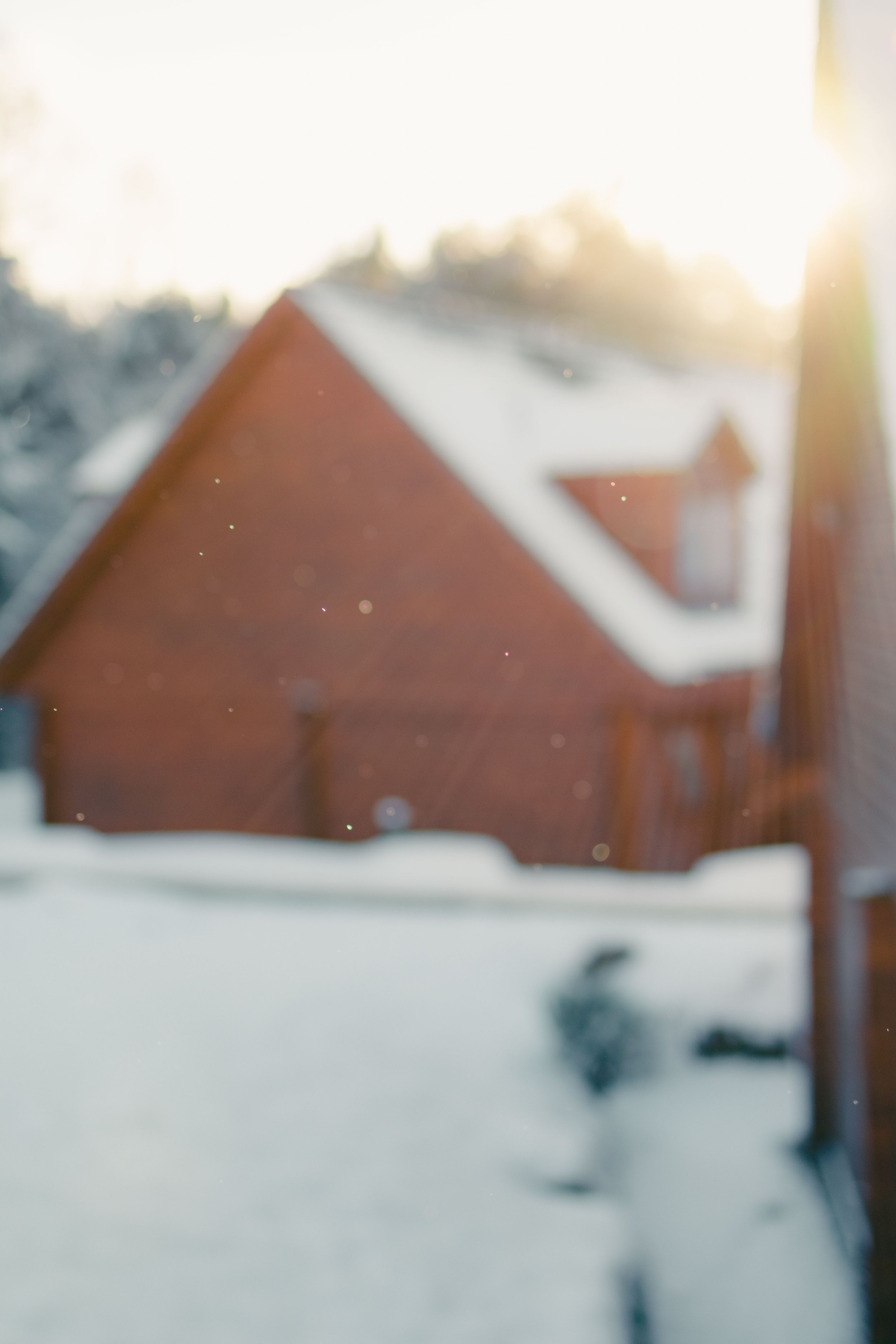 Brook Aurora Travel-13.jpg