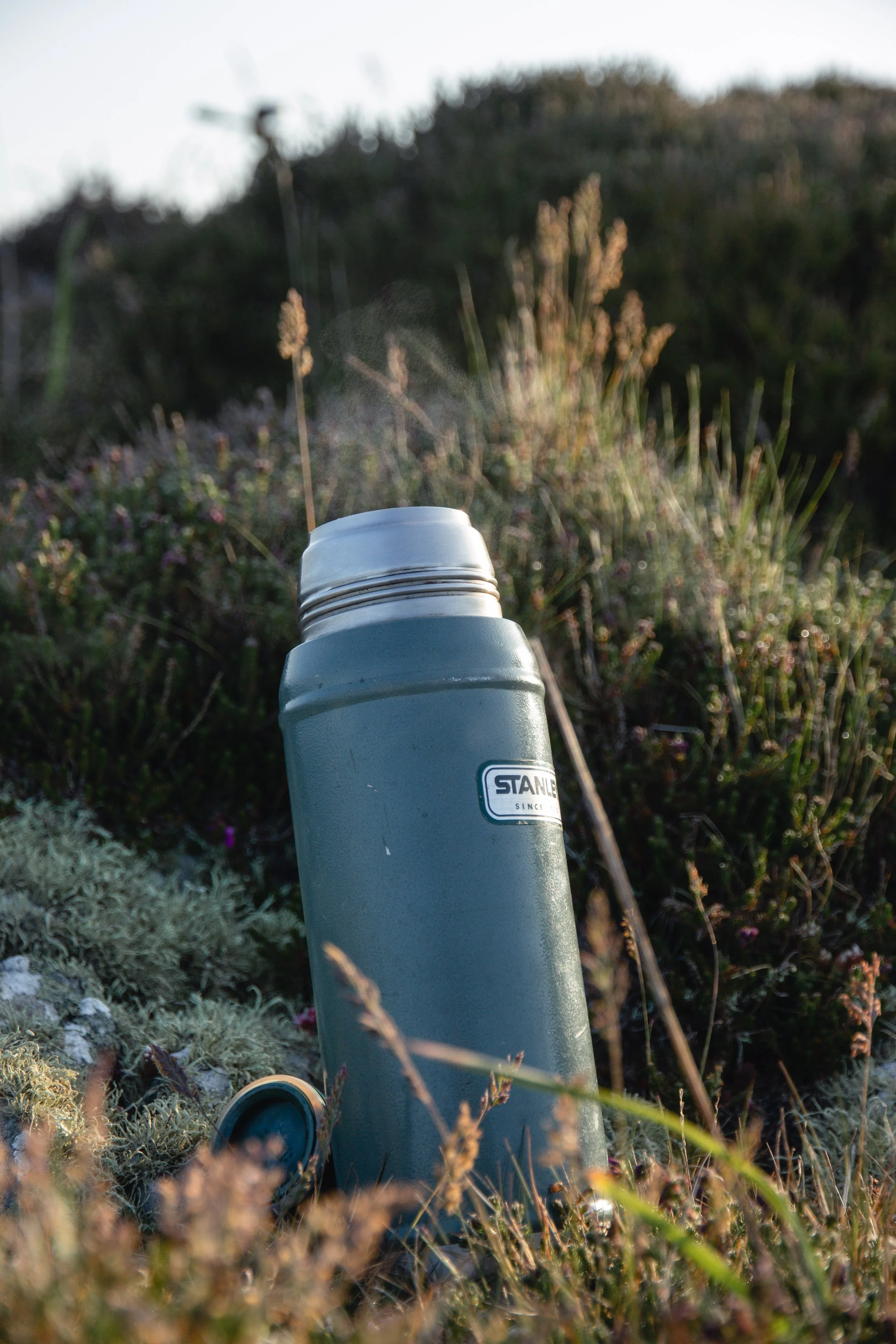 IMG_1072- BrookAurora Pembrokeshire.jpg