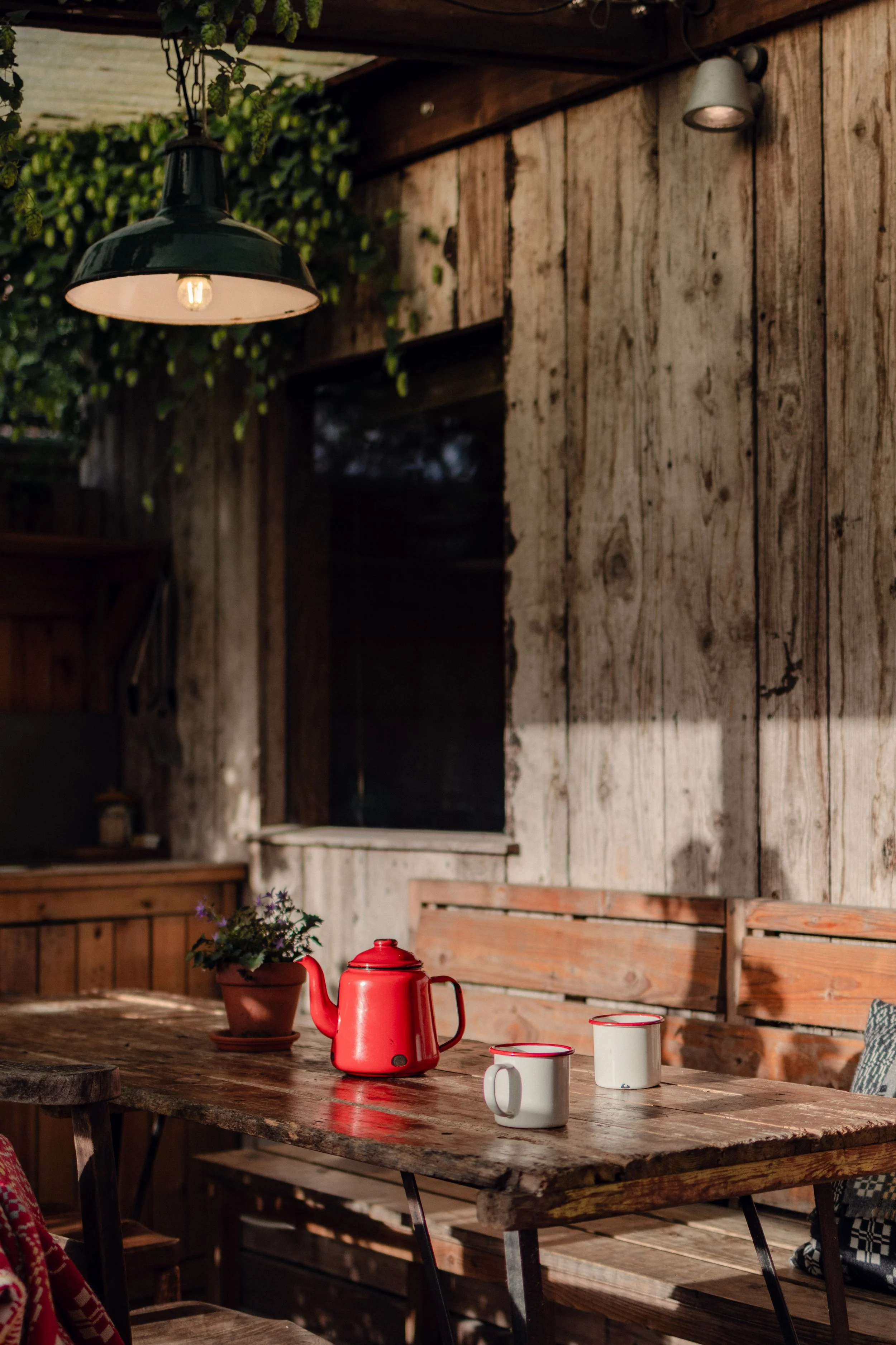 7M1A1444- BrookAurora Fforest_.jpg