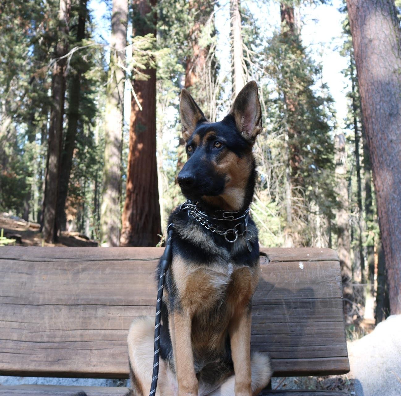 Headshot of Bella Blitzen