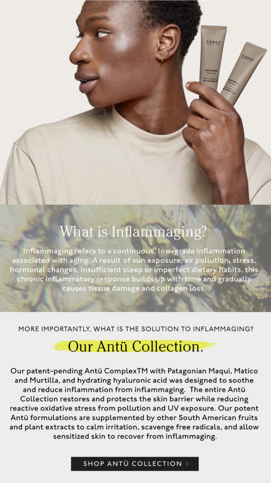 beauty education what is inflammaging