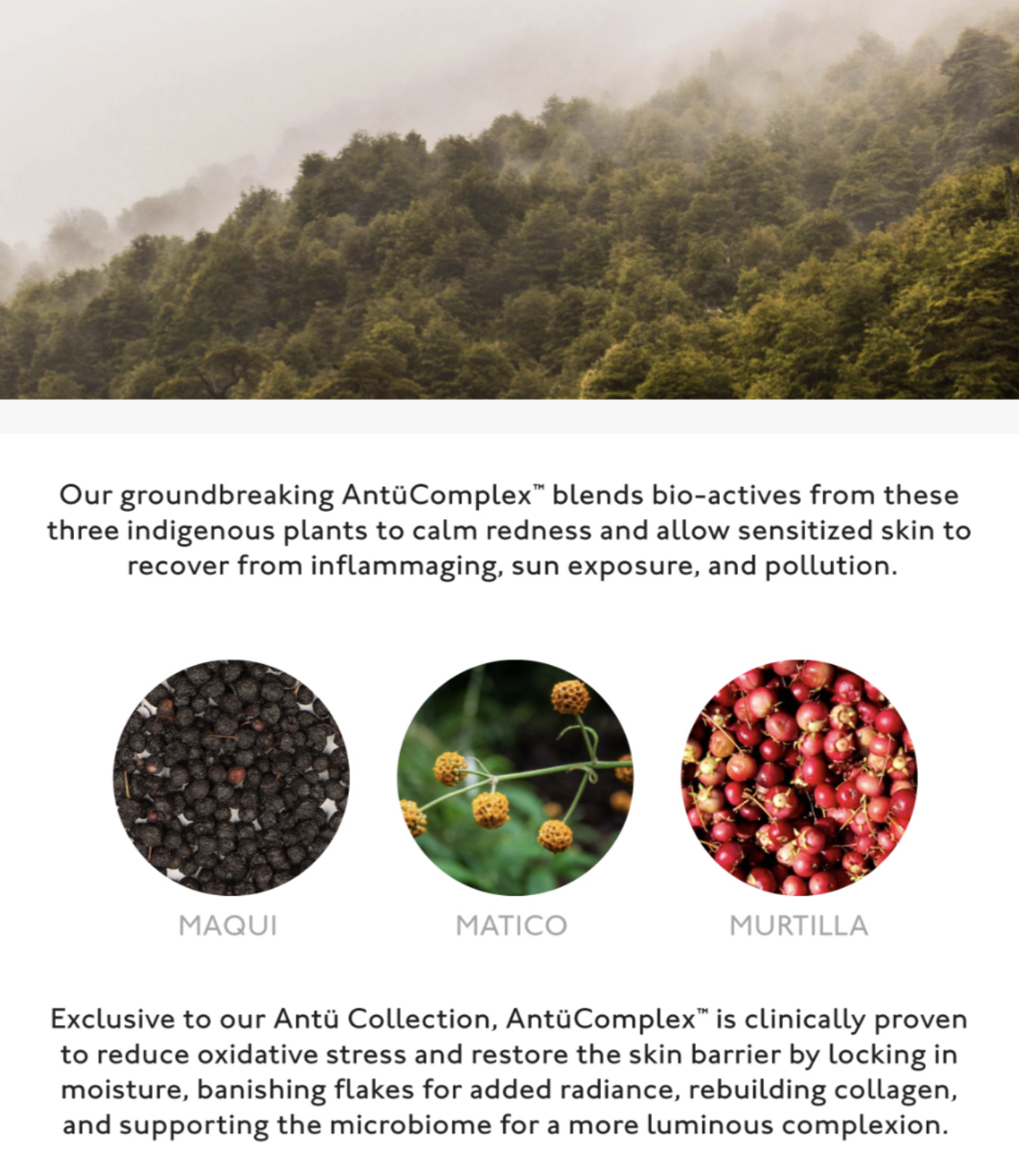 science based beauty writer