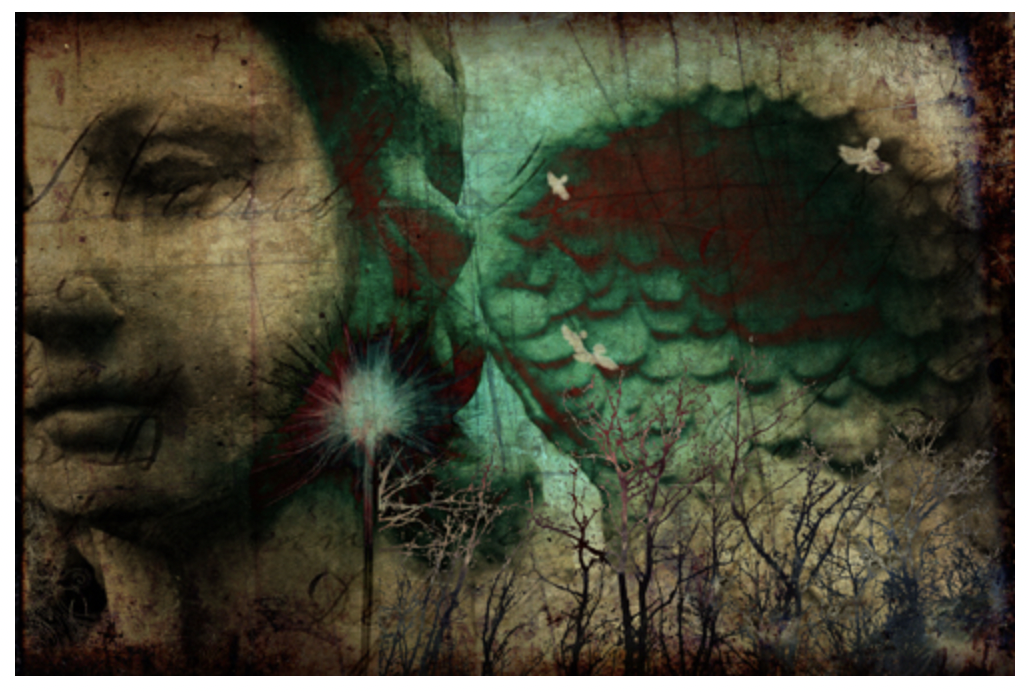 Photography & Digital Art