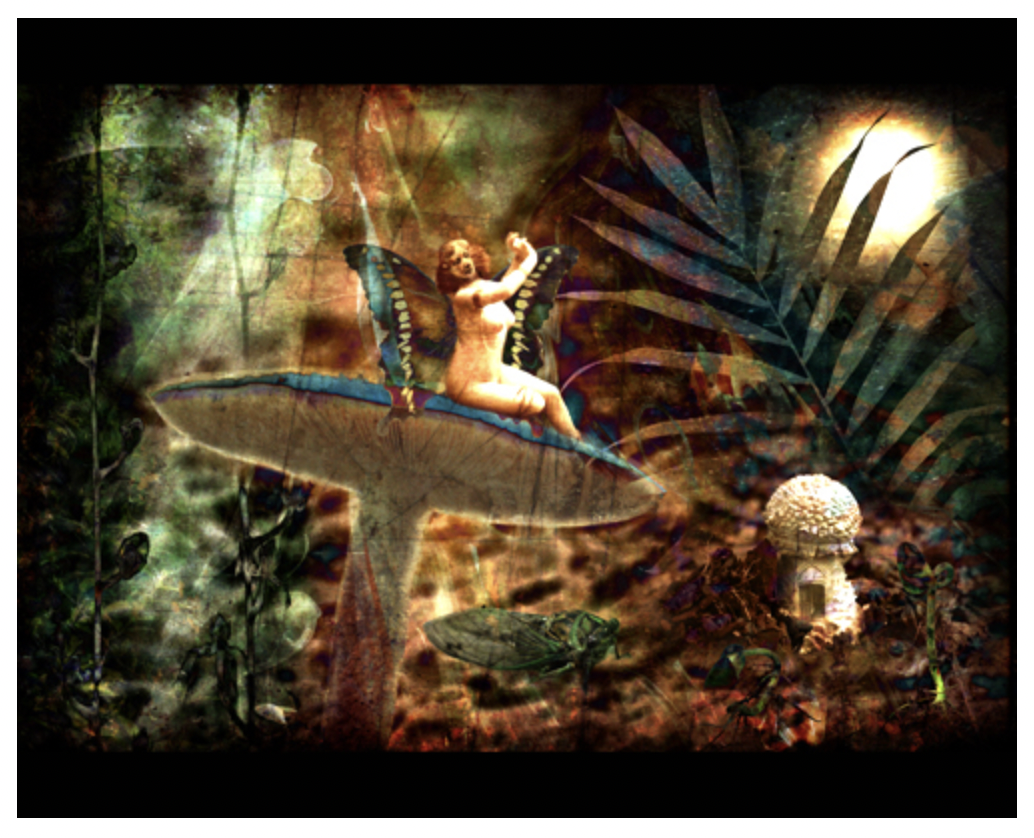 Screen Shot 2022-07-18 at 4.17.09 PM.png