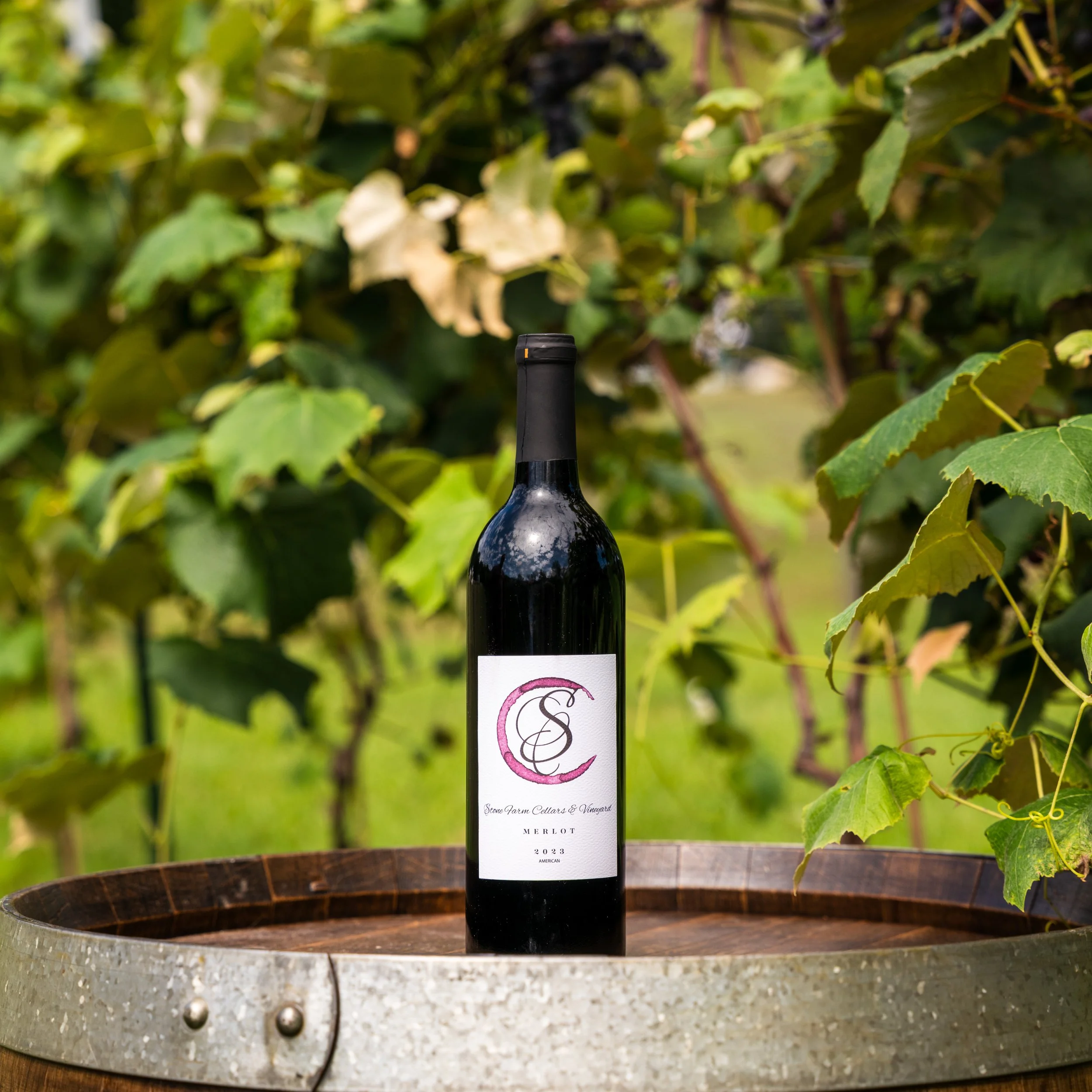 WINE-05.jpg
