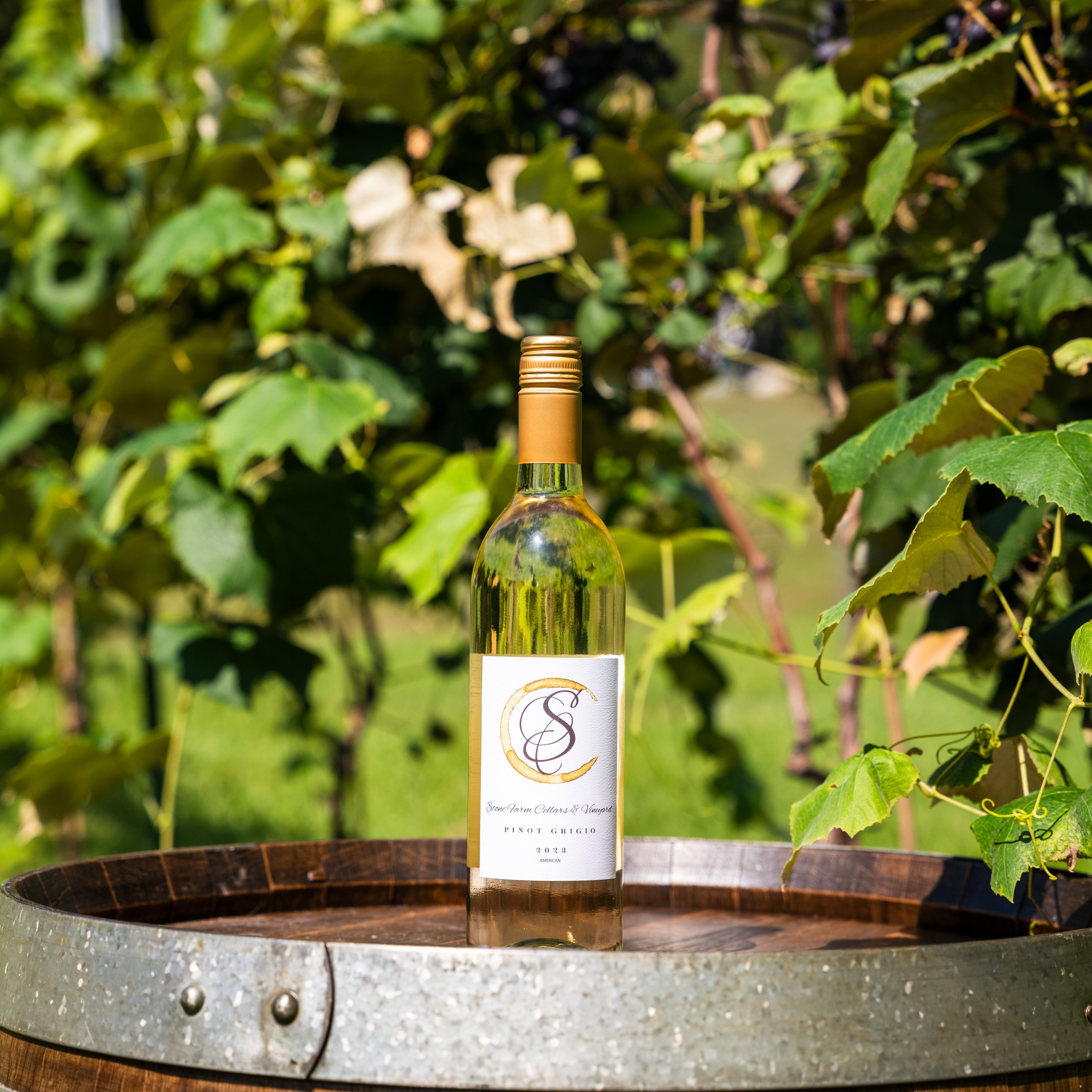 2023 Pinot Grigio - American