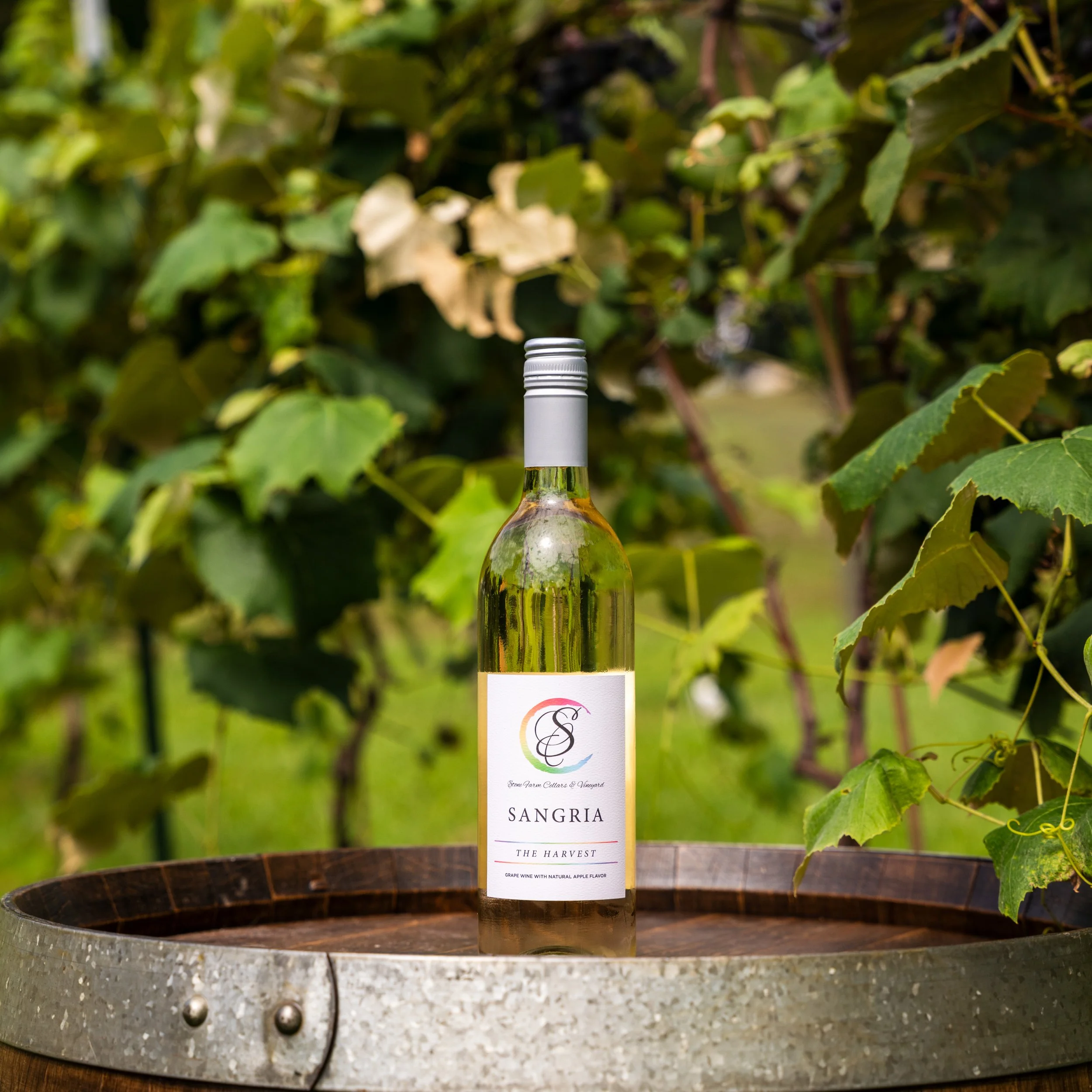 WINE-03.jpg