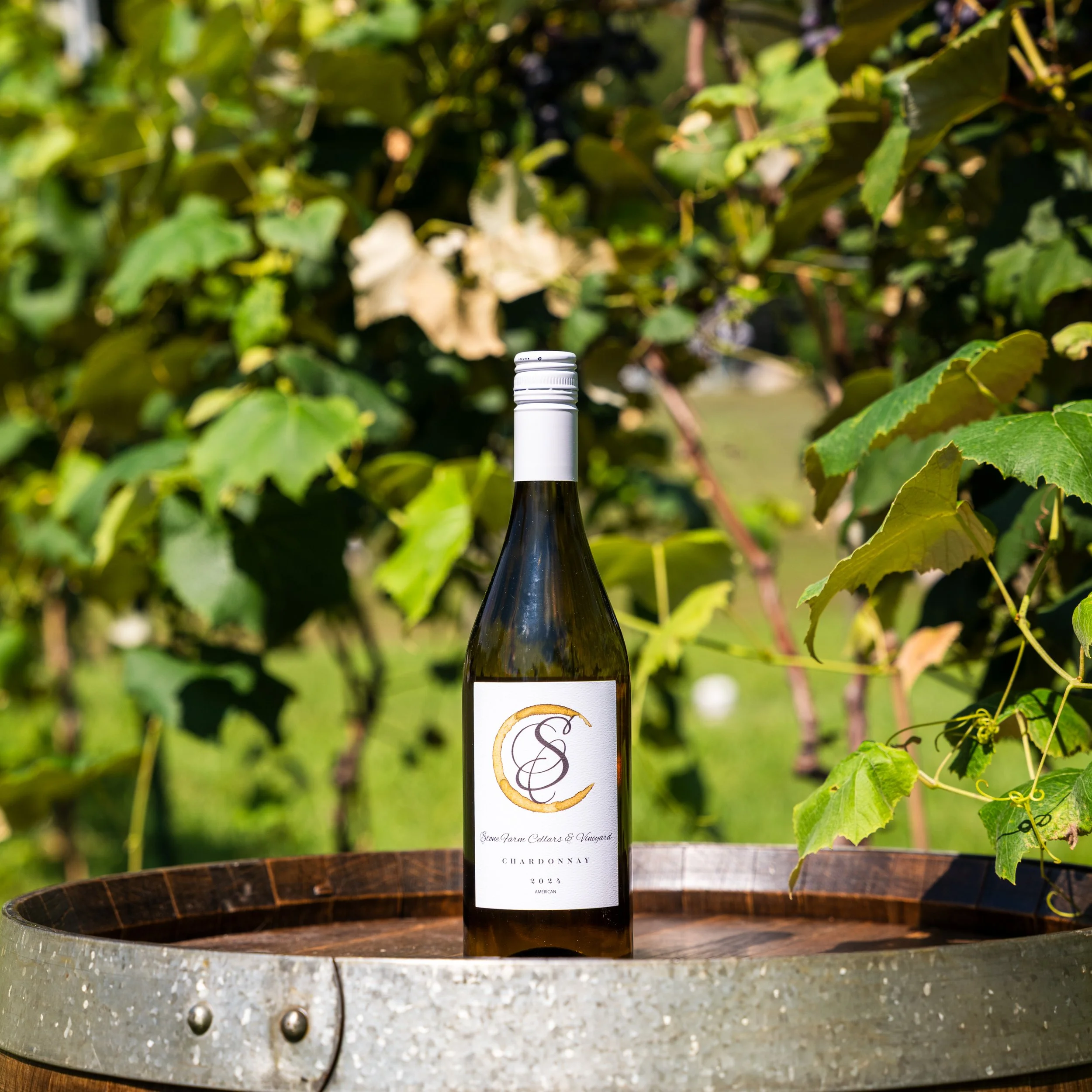 WINE-20.jpg