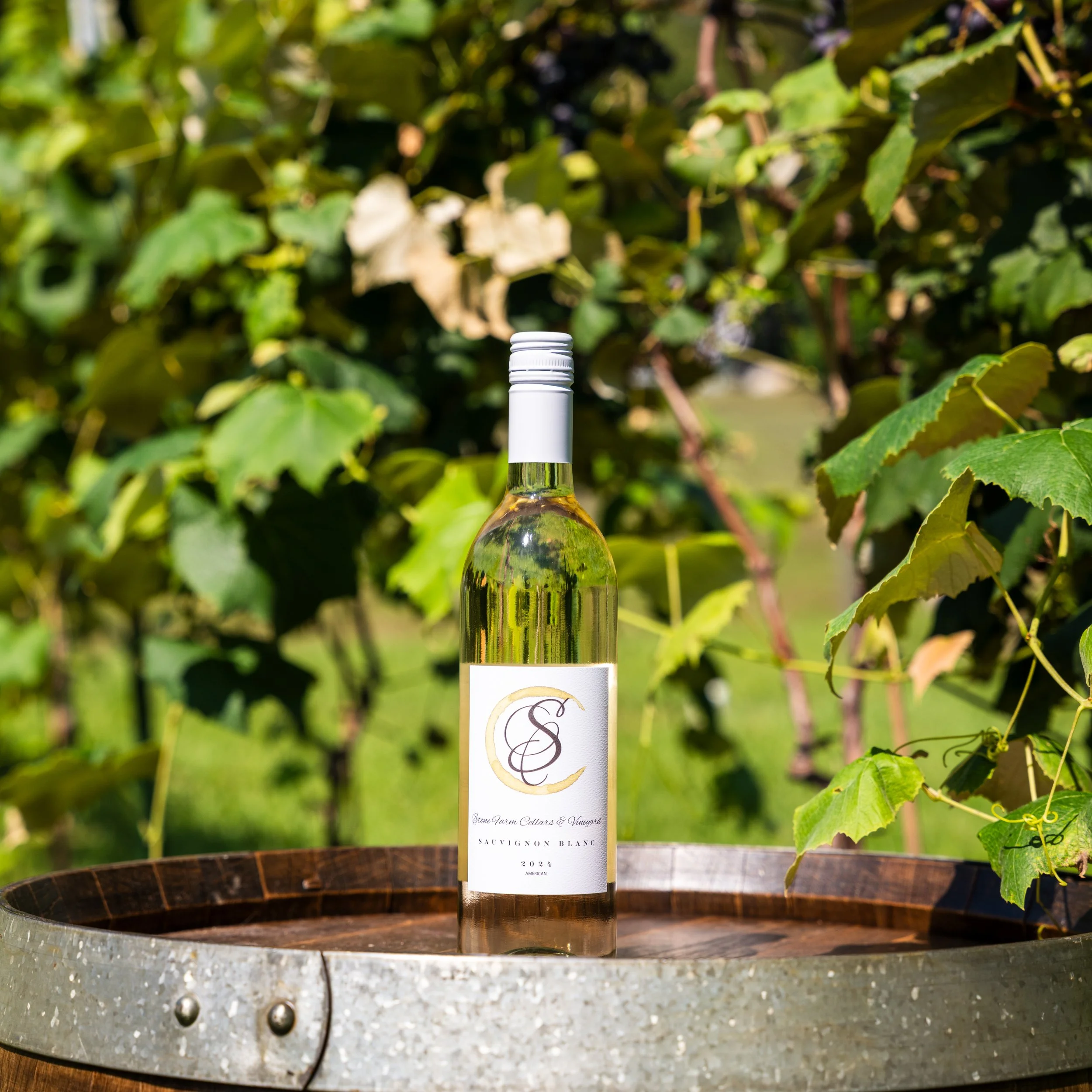 WINE-21.jpg