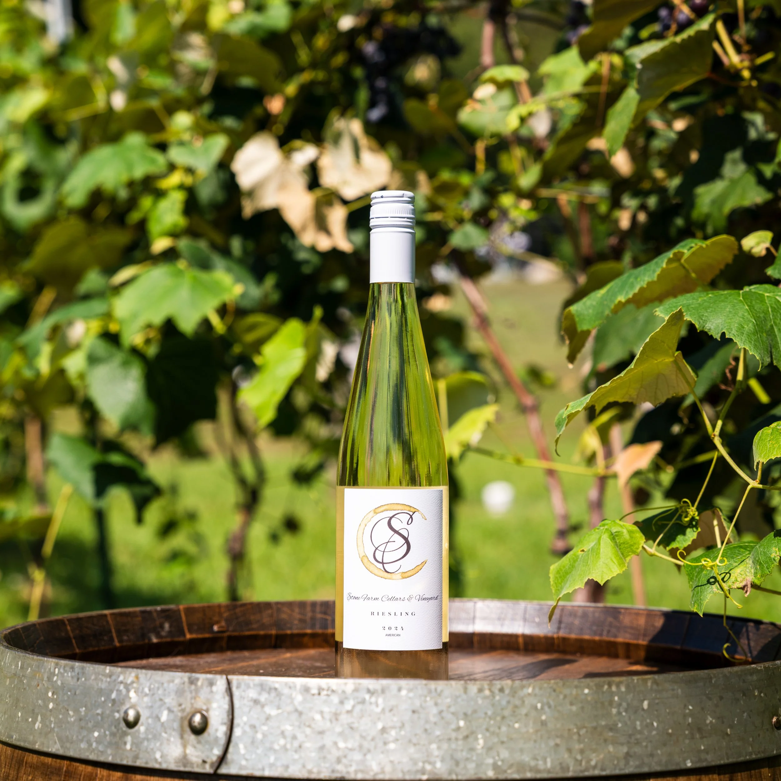 WINE-22.jpg