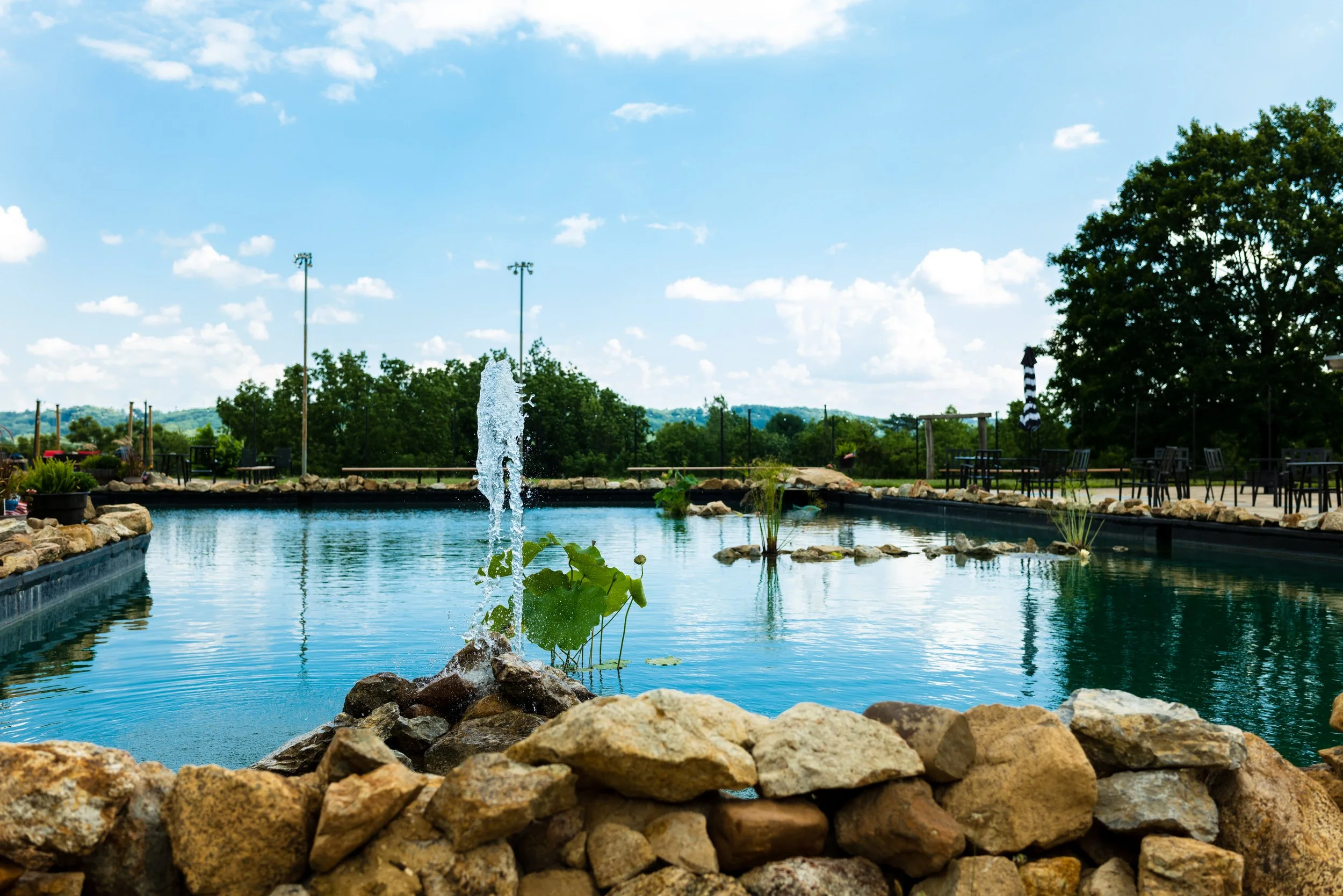 Stone Farm Cellars and Vineyard