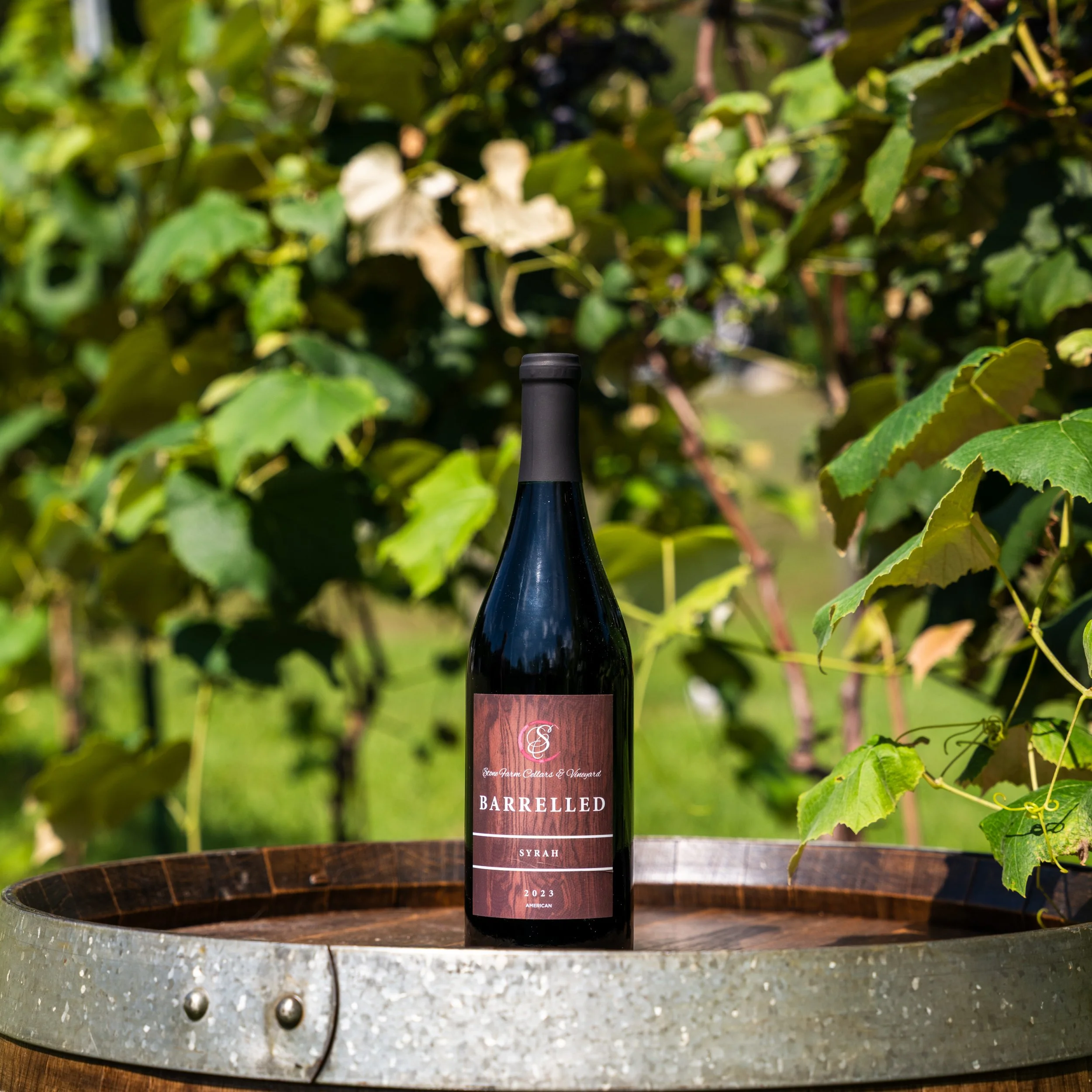 Barrelled Syrah