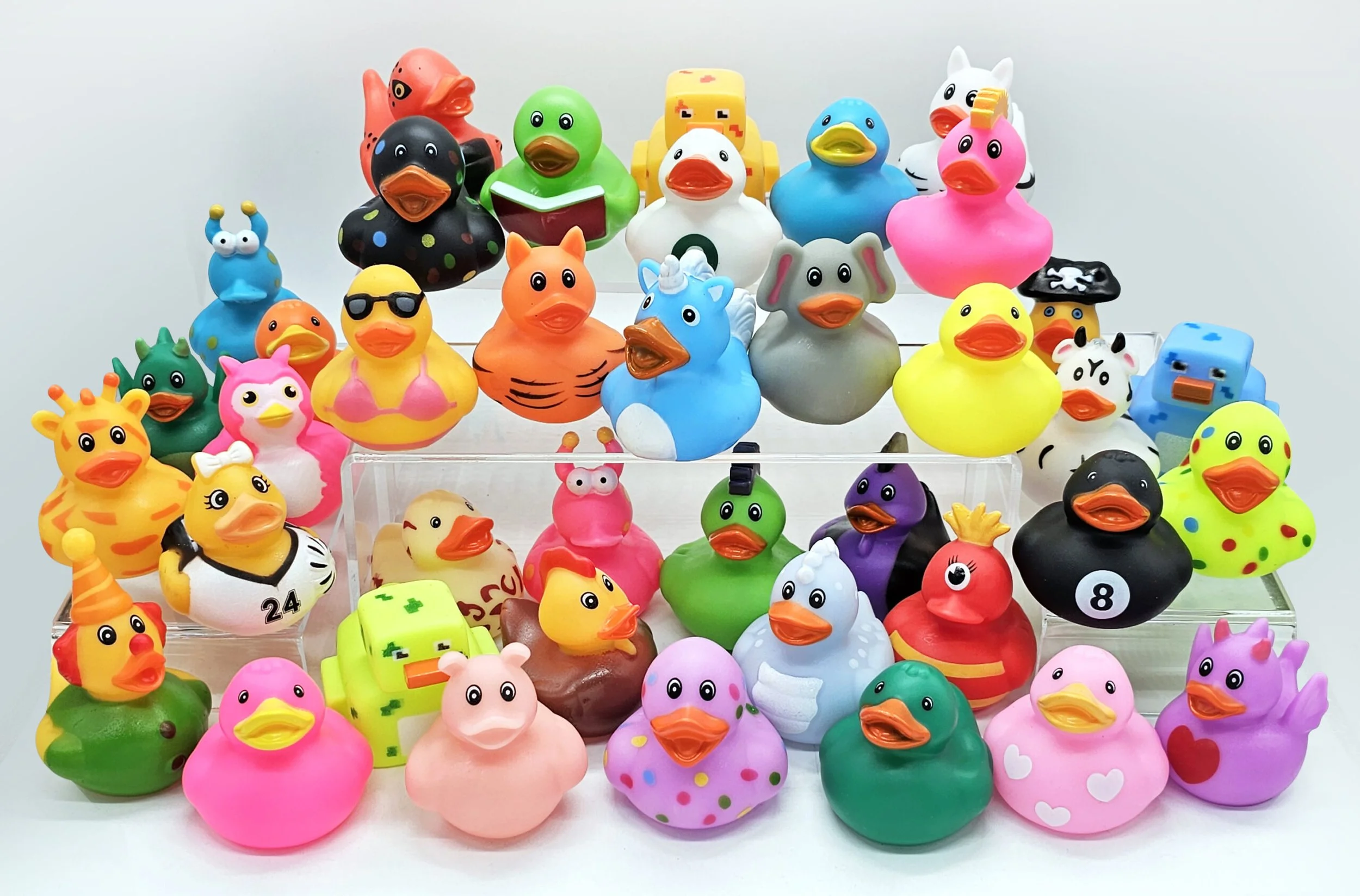 Ducks-scaled.jpg